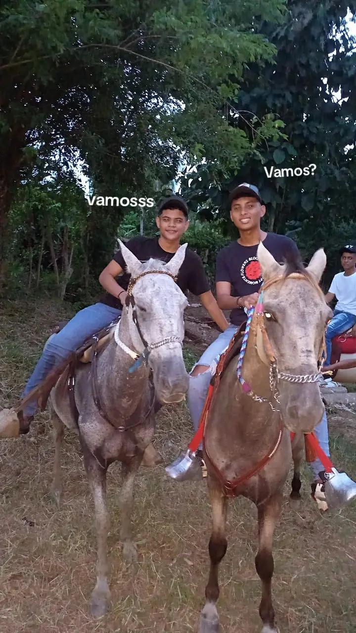 @ederyanez