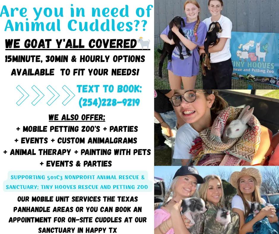 @TinyHoovesRescueAndPettingZoo
