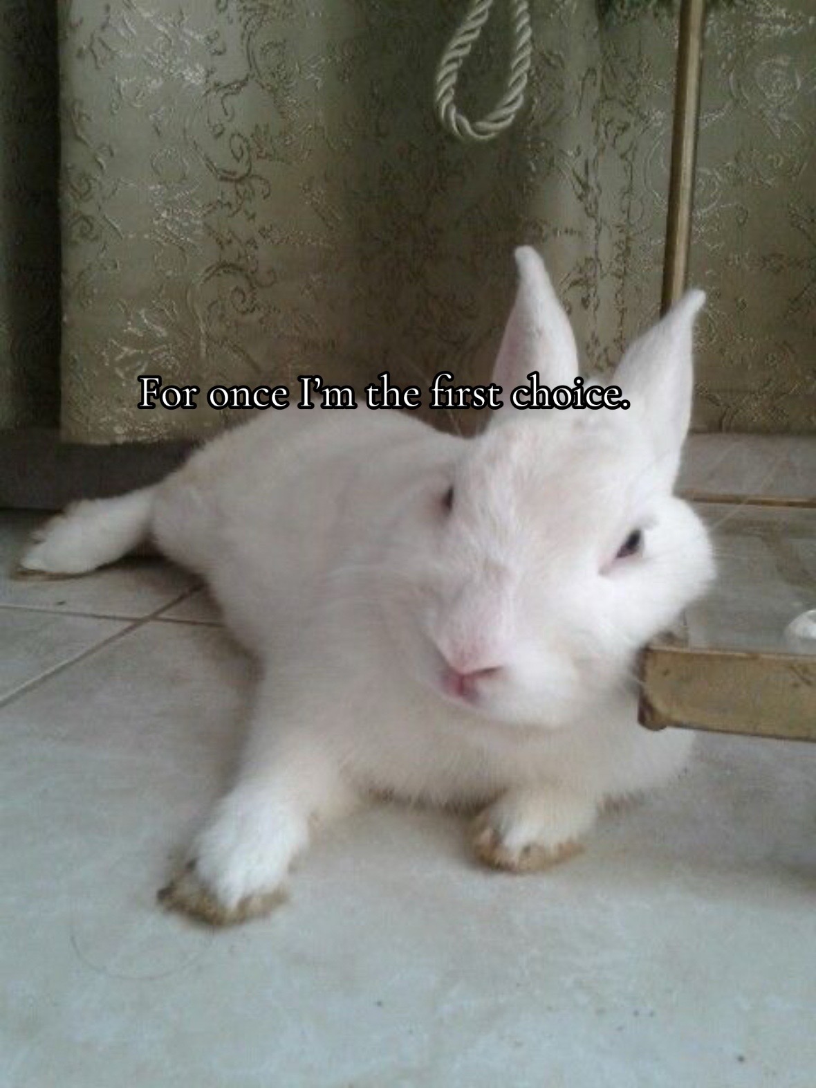 @๐ฉนℜ๐๐๐๐ฆ๐ฑ๐ข๐ข๐ซ๐