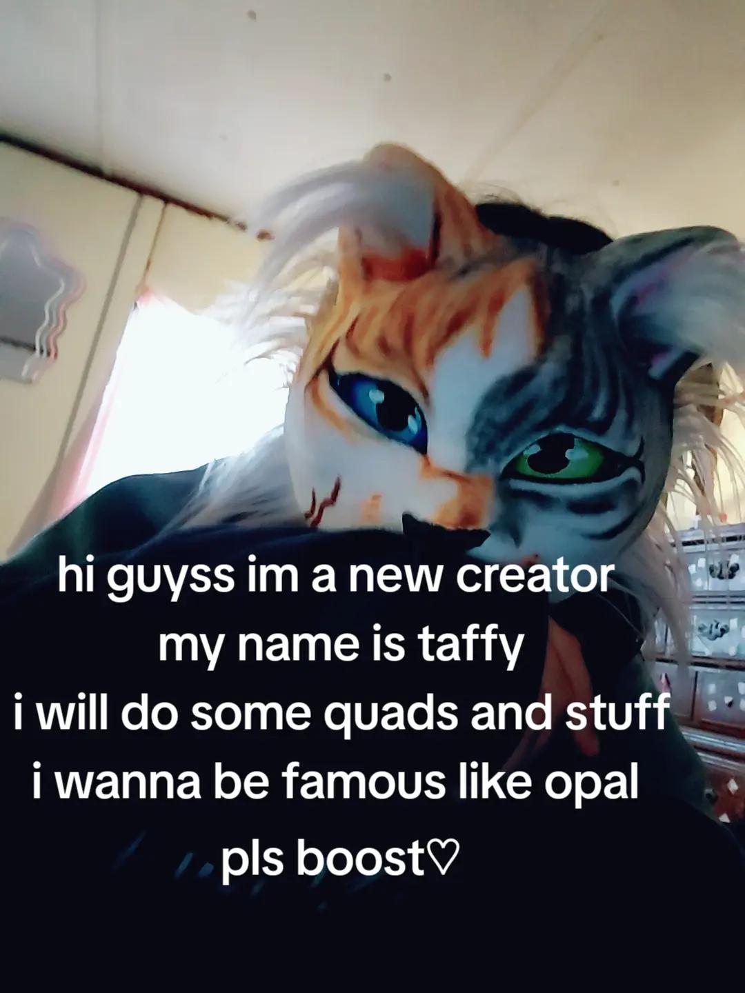 @🐾🍀𝚝𝚊𝚏𝚏𝚢_𝚘𝚗_𝚙𝚊𝚠𝚣🍀