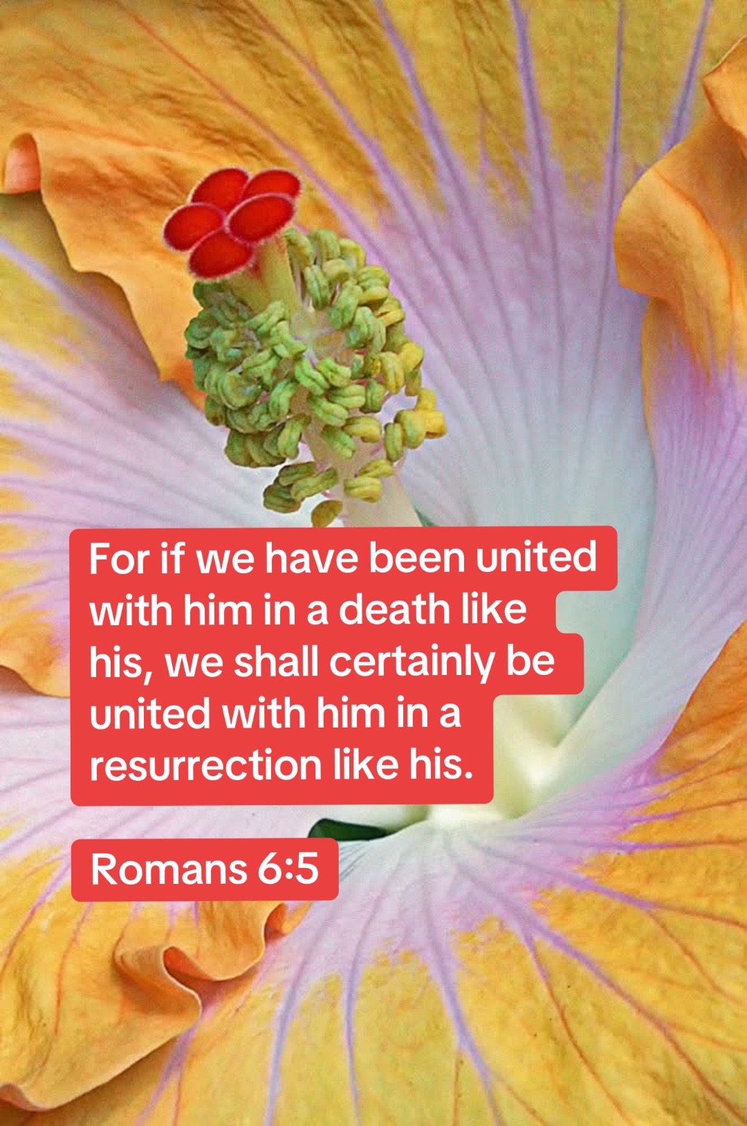 @forgiven_disciple