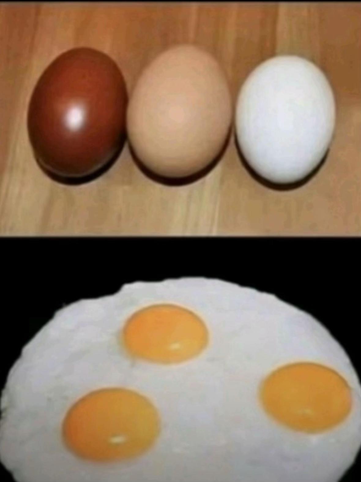 @🄳🄰🄷🄸🅁🄾🅄 🄻🅈 ✪ 🇸🇳🇫🇷