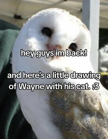 @mawoko