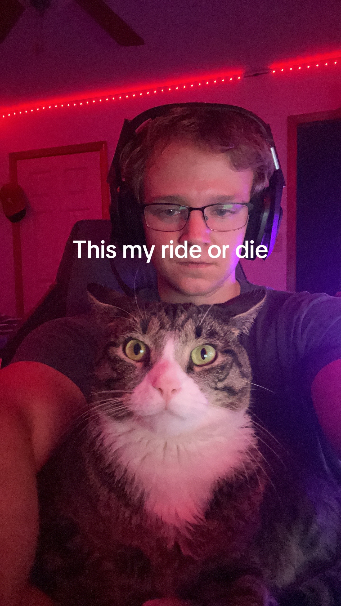 @cole