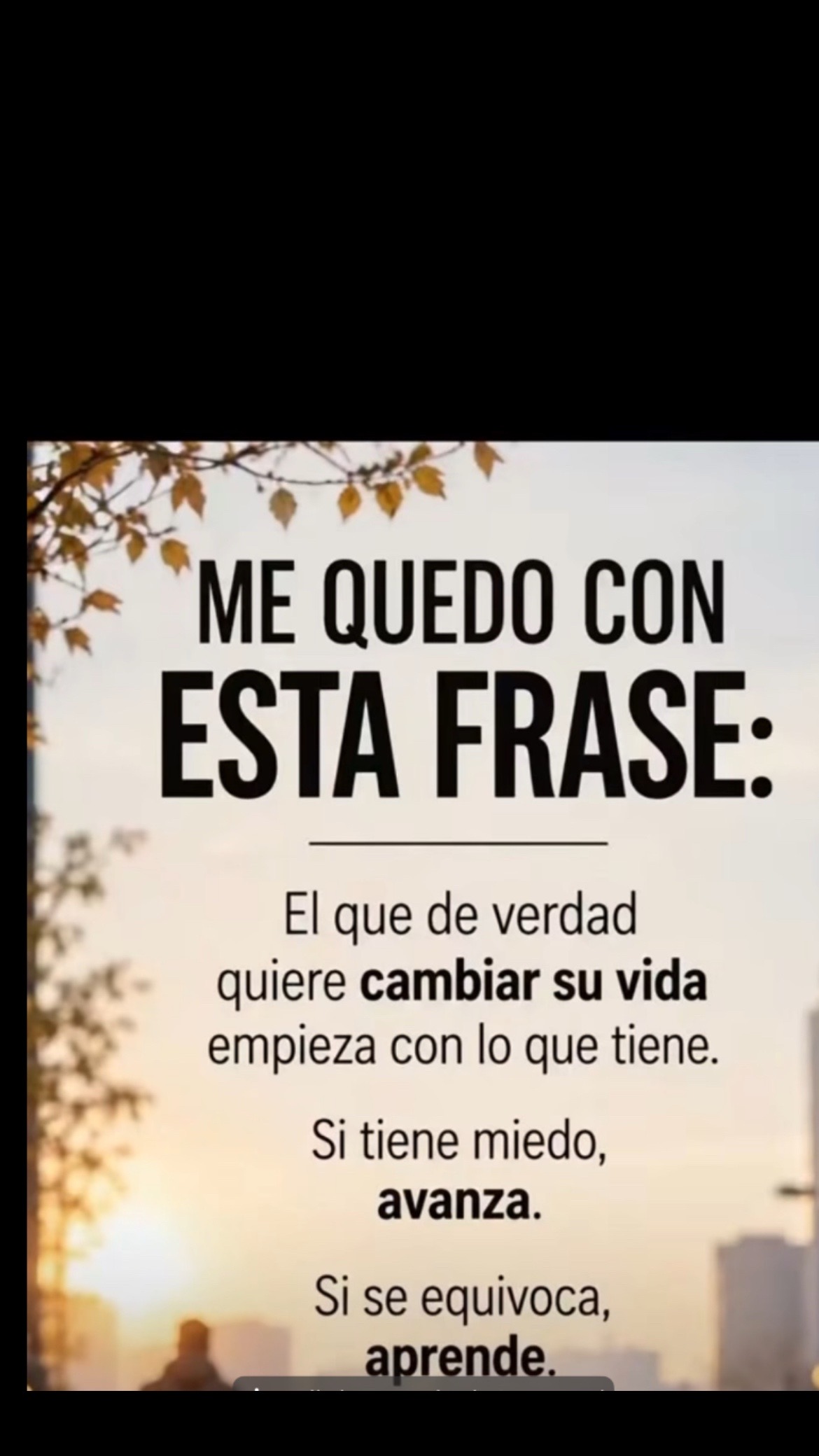 @Pedro Cruz