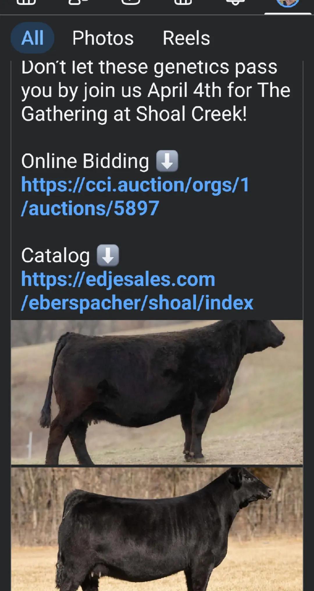 @hoggerwsa