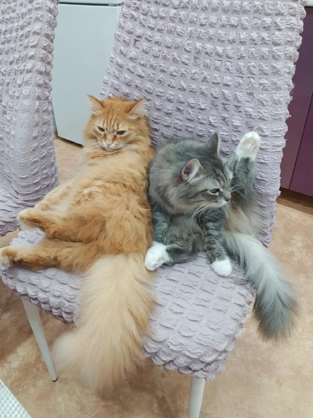 @Oksana