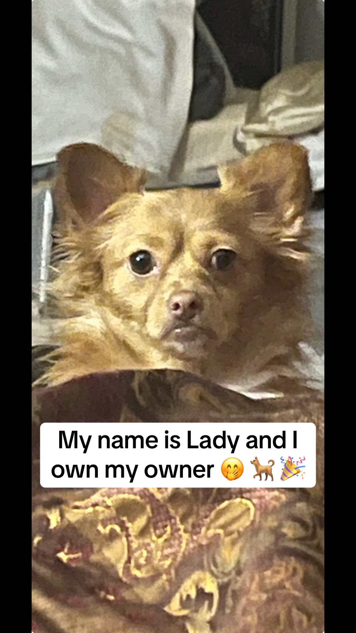 @it’s Lady & Lisa