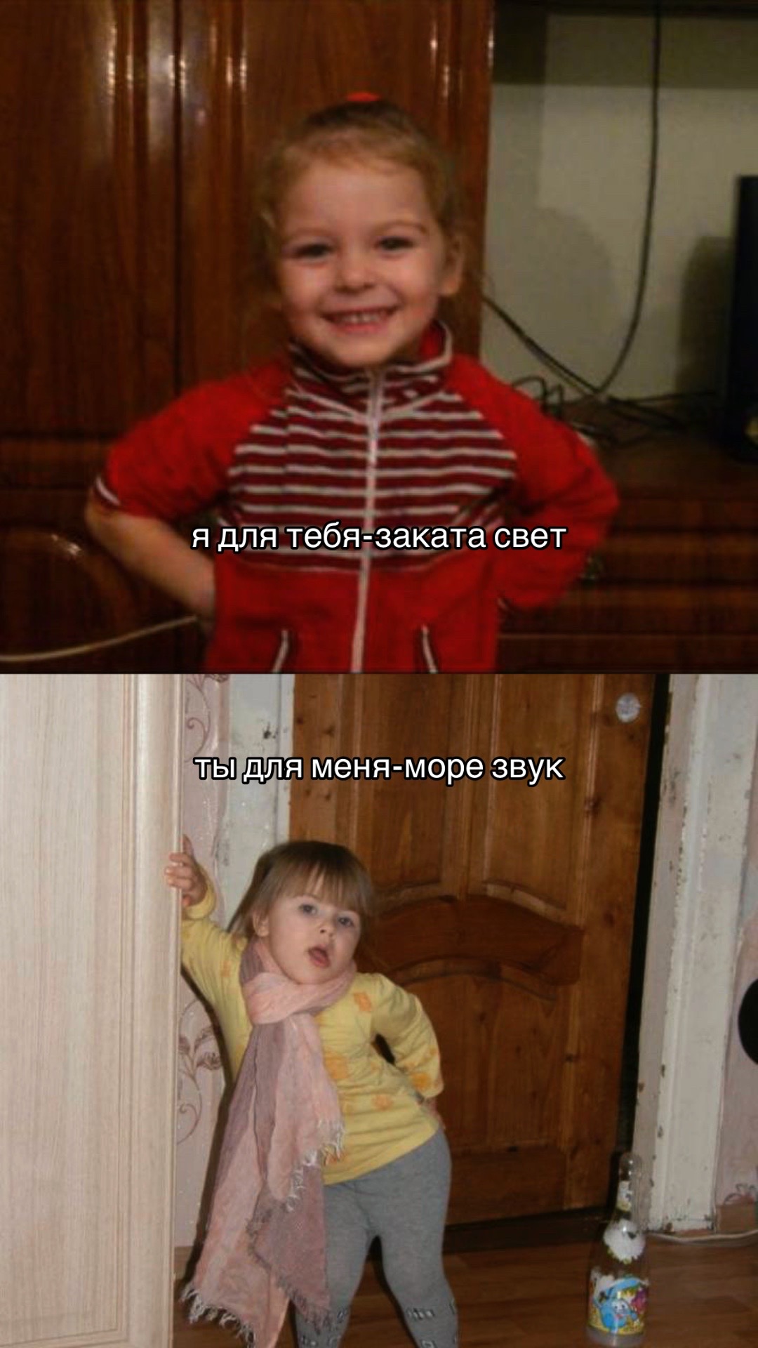 @nikazz