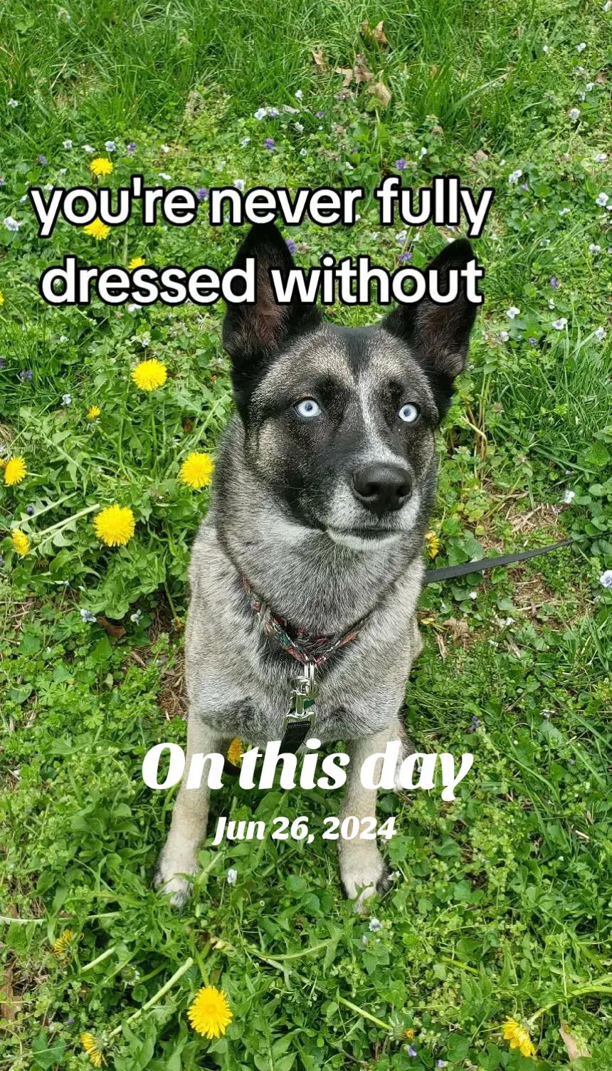 @🪓🐾🪓