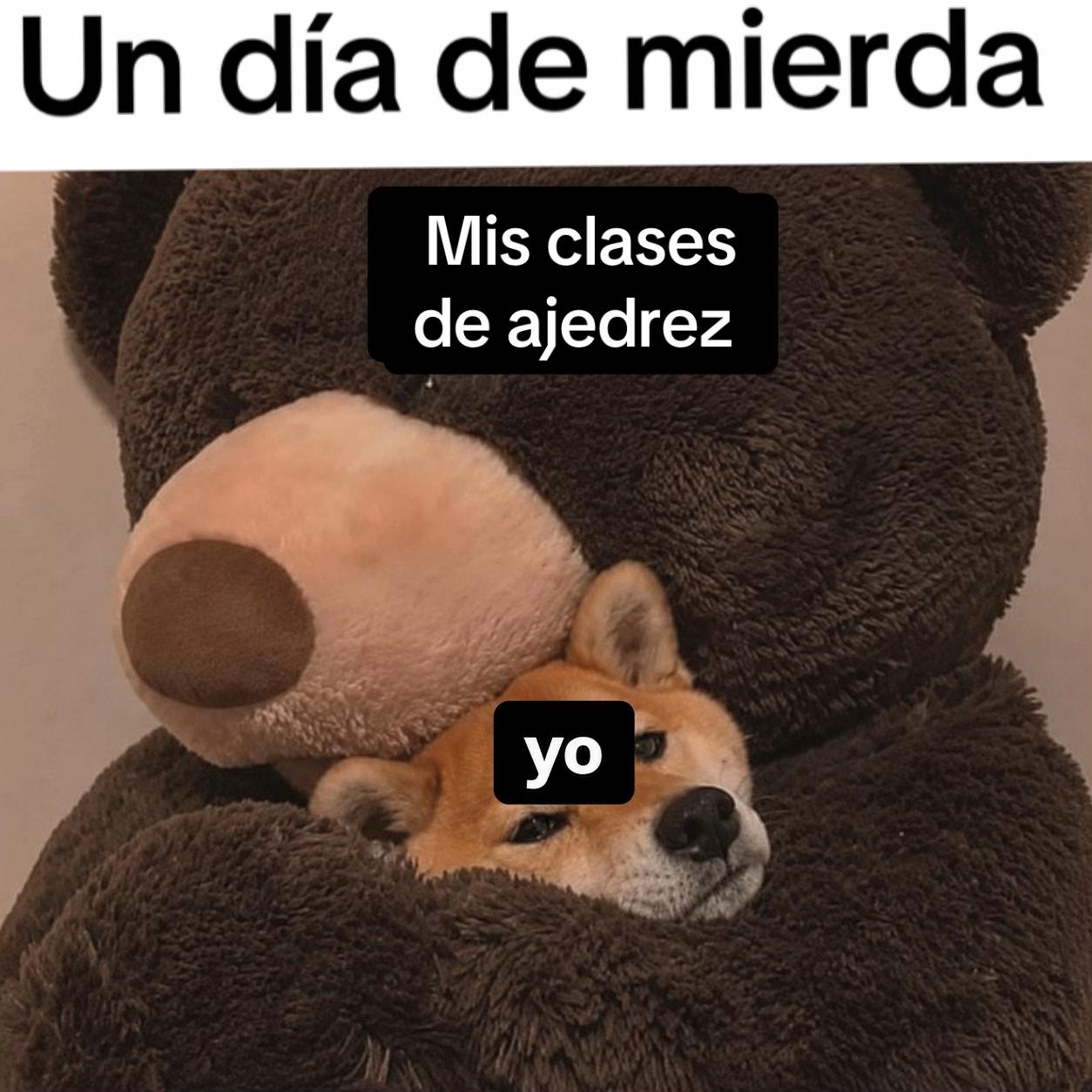 @profesantosajedrez