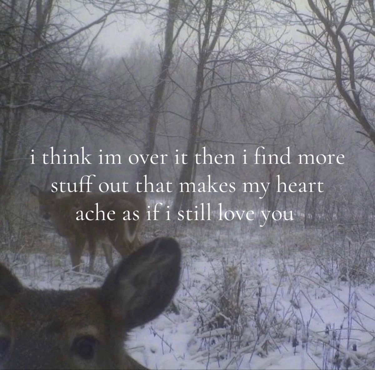 @￴ ￴ ￴ ￴ ￴ ￴ ￴ ￴ ￴￴ ￴￴ ￴ ￴ ￴ ￴