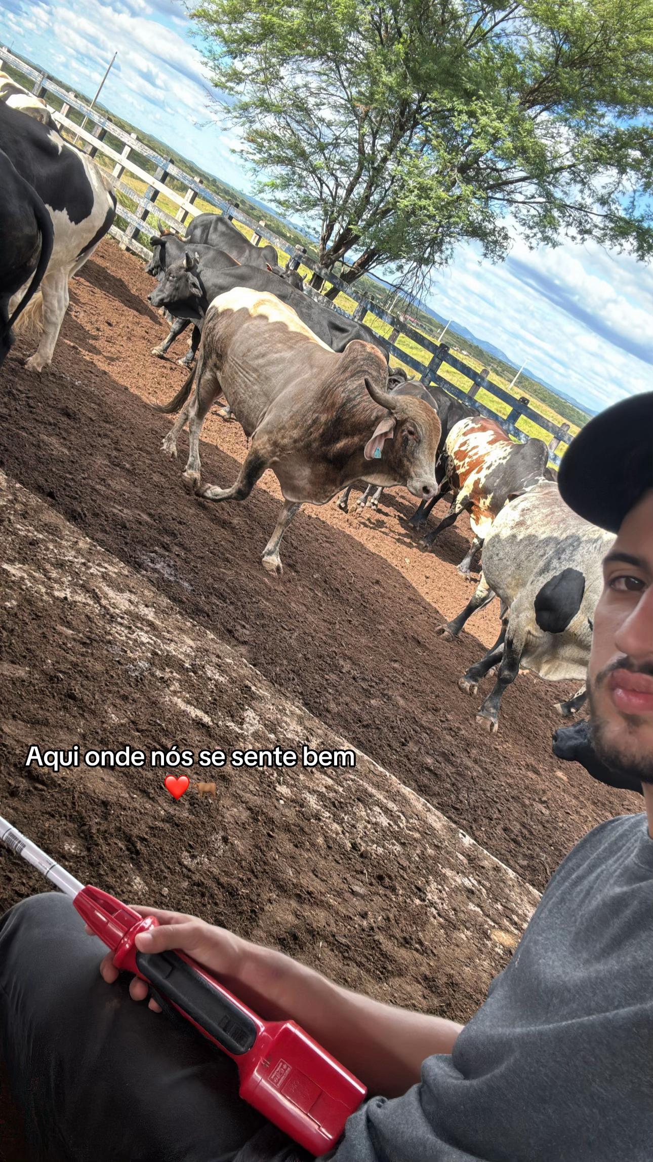 @Luan Bezerra
