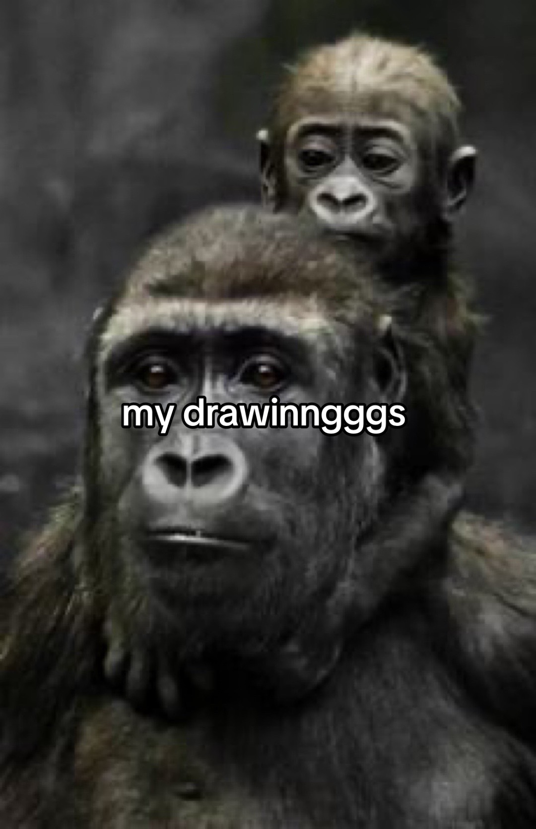 @edwin brady