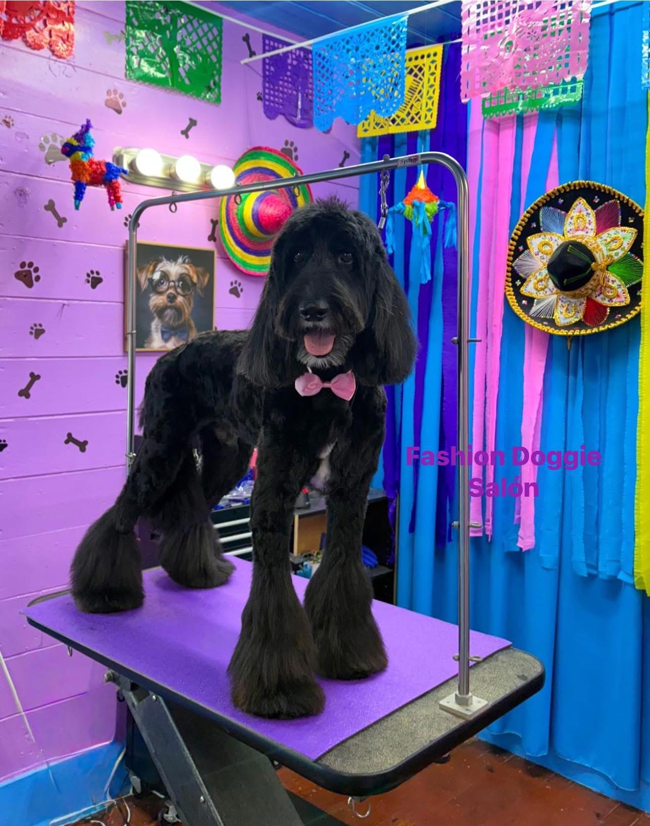 @fashion.doggie.salon