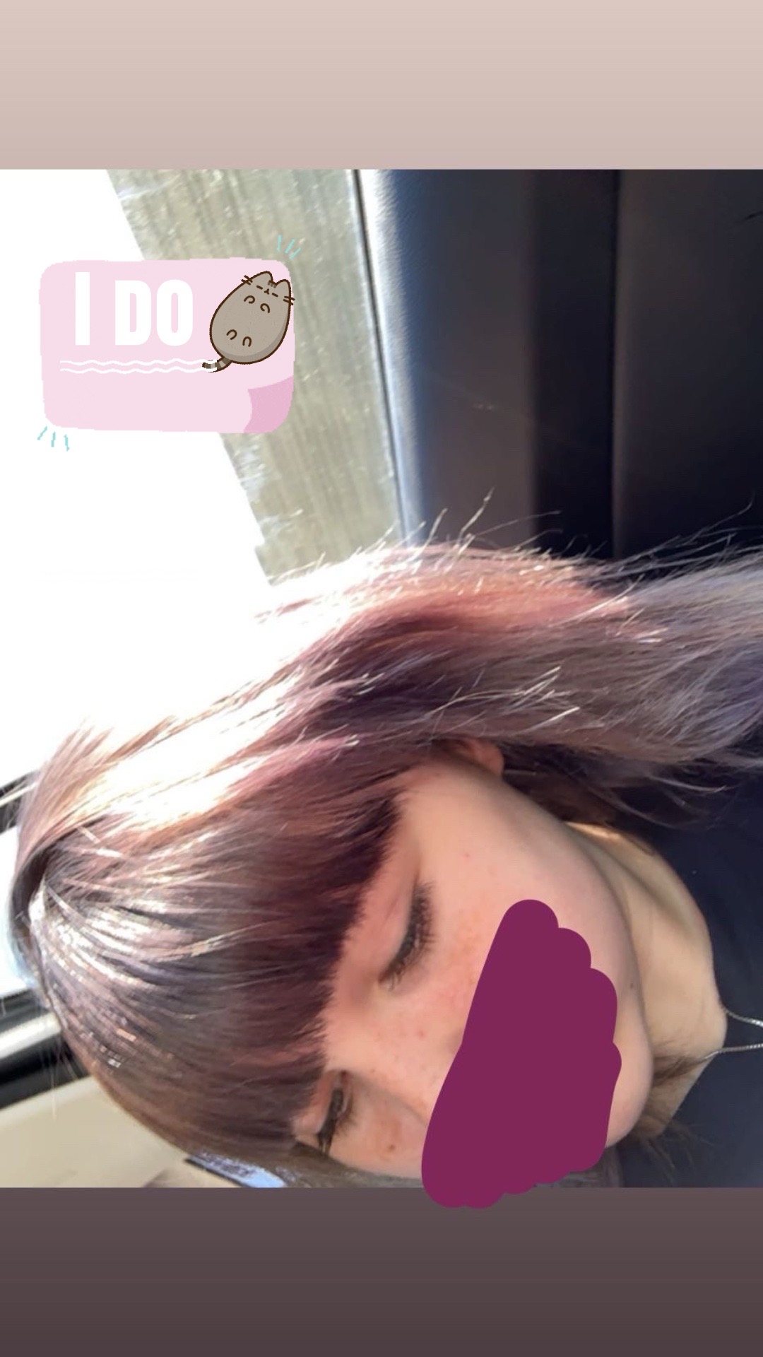 @Pusheen cat 🌬️
