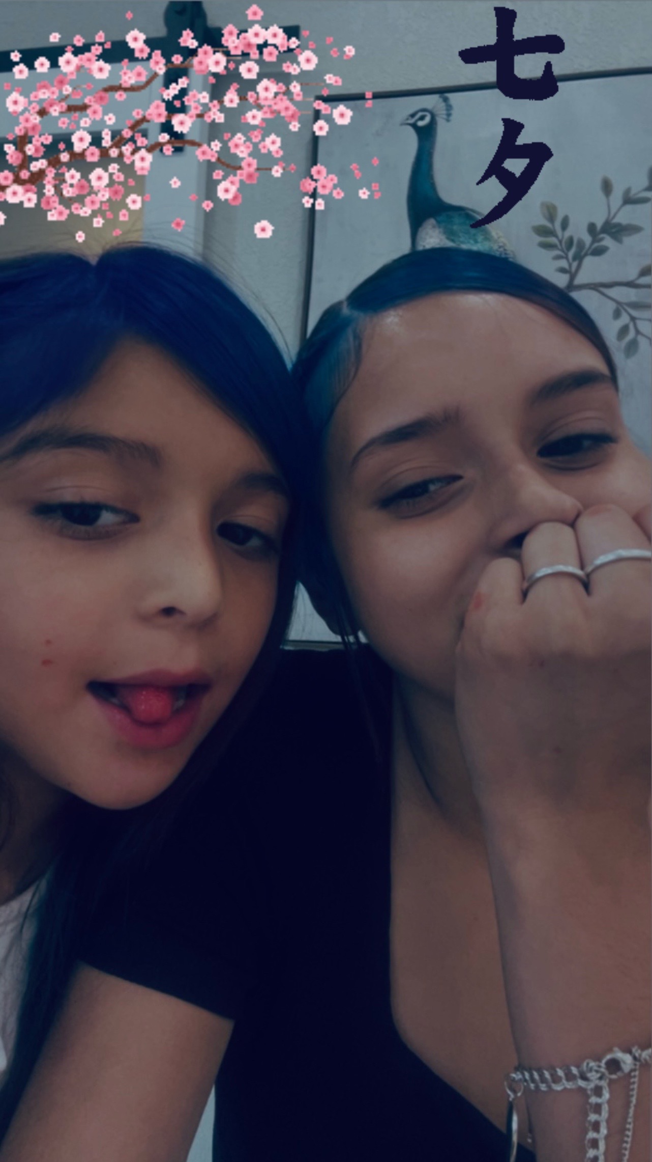 @Aliaaaaaa