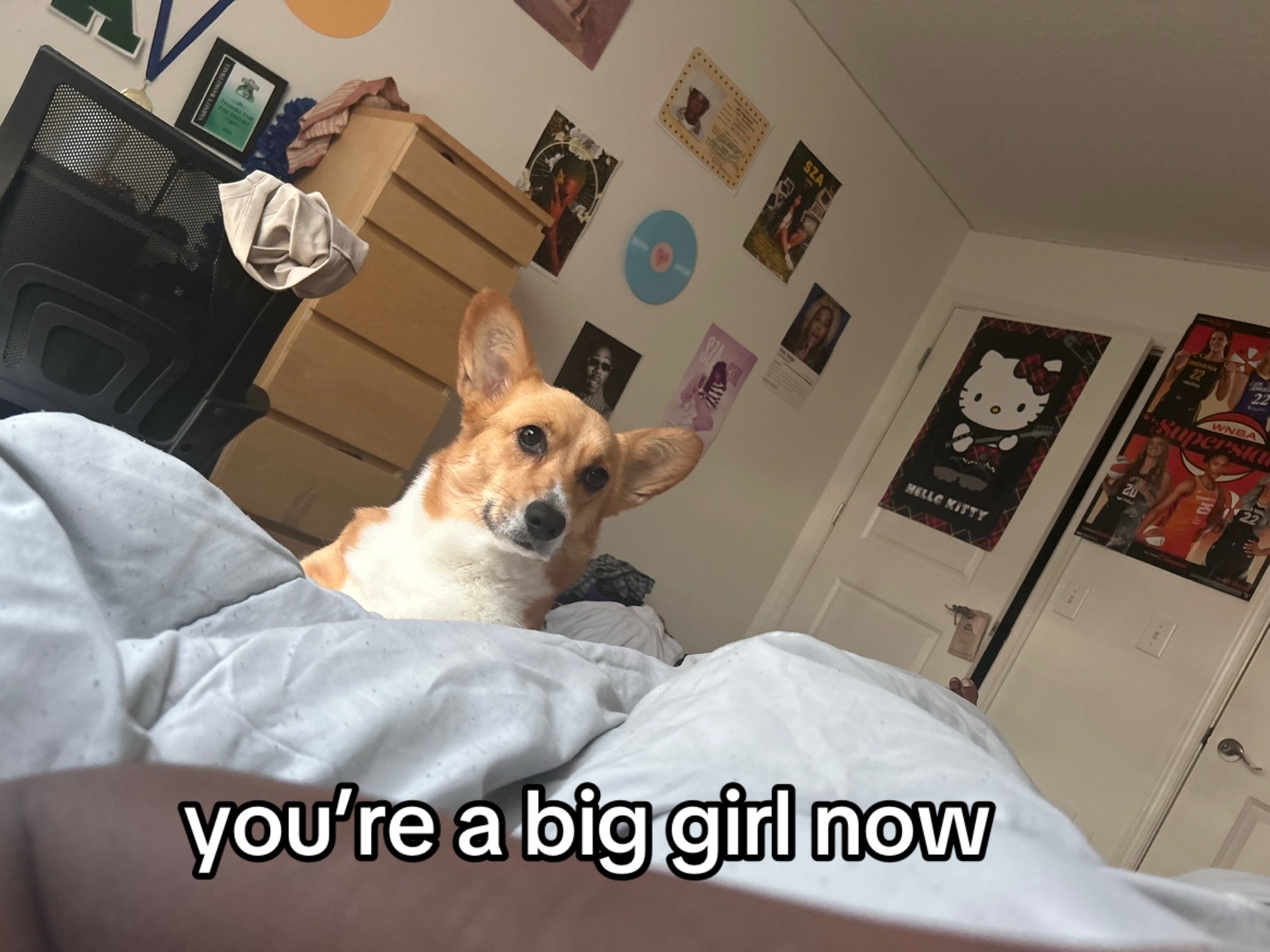 @naomi