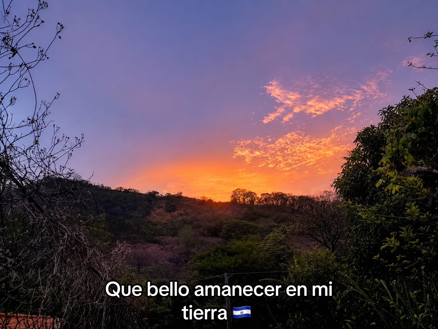 @vero350chiquita
