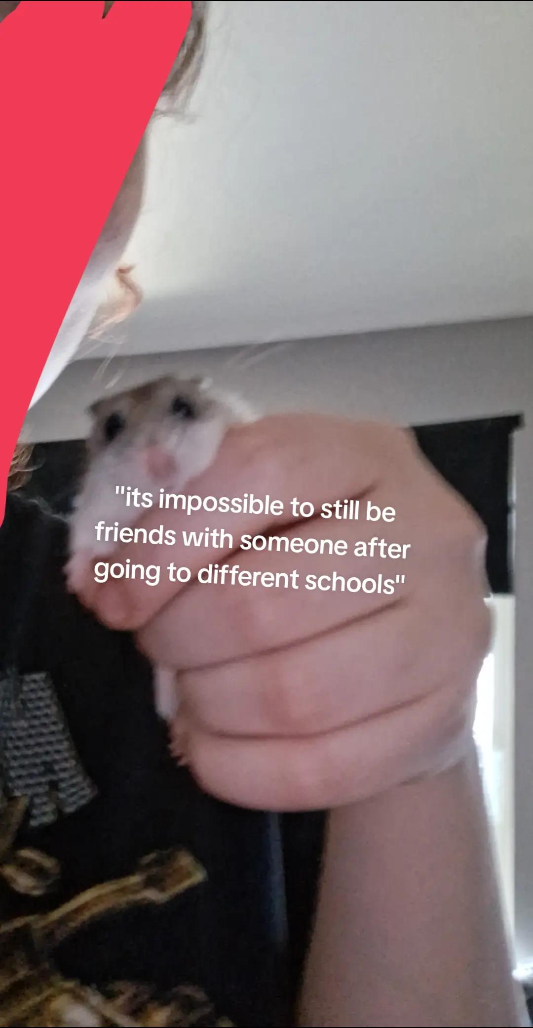 @theirrr_favvv