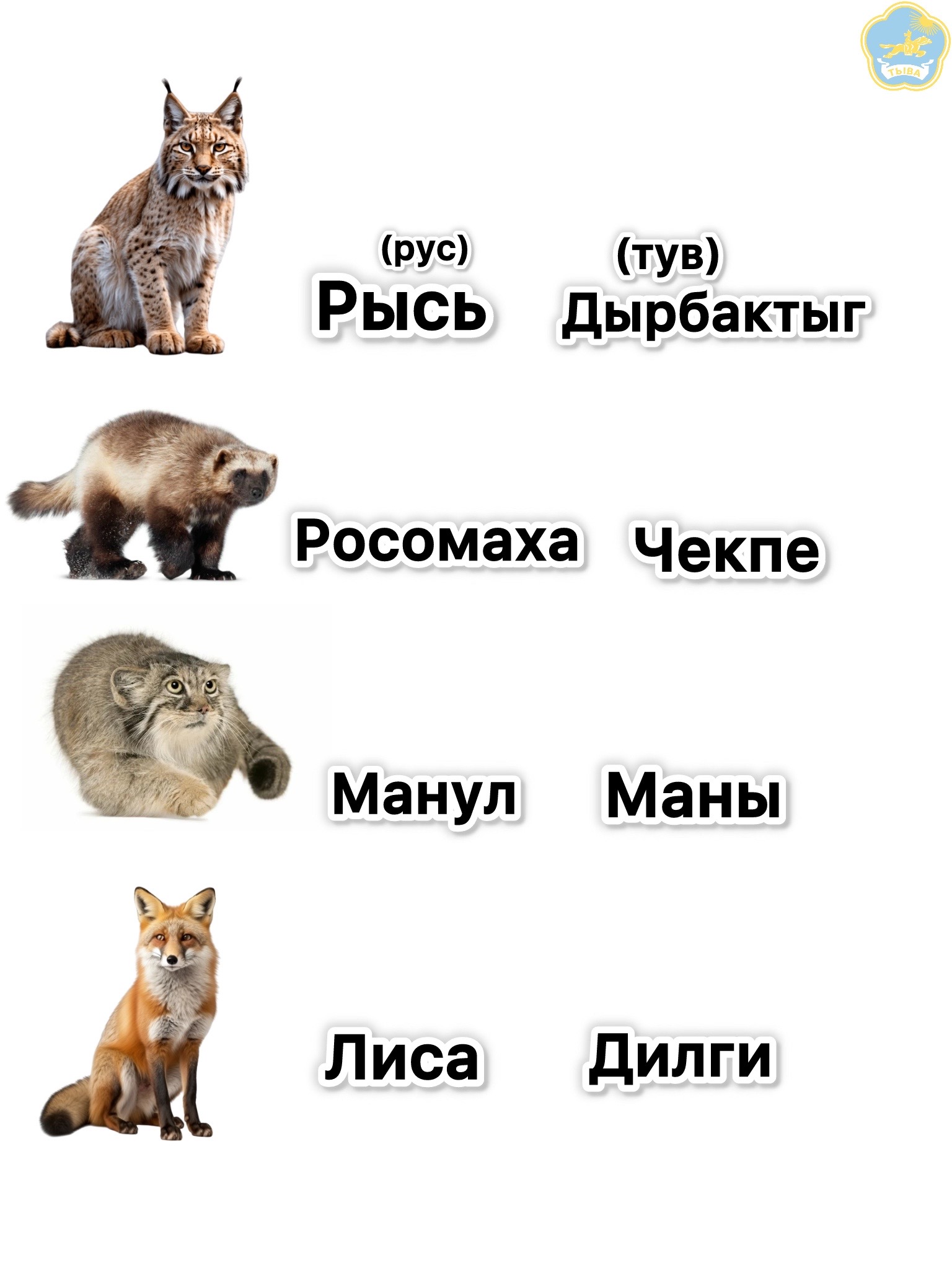 @ТҮРЛҮГ&sup1;⁷