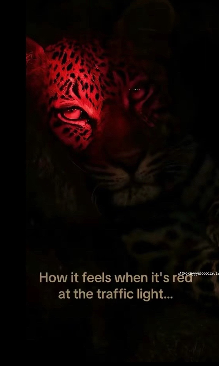 @🫂