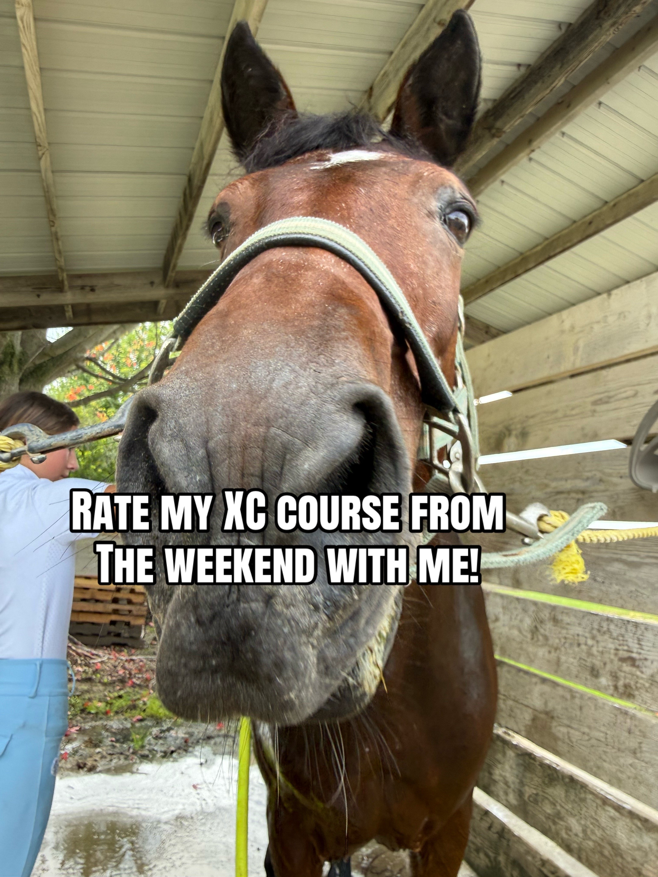 @Keyton Rylee 🐴🏇