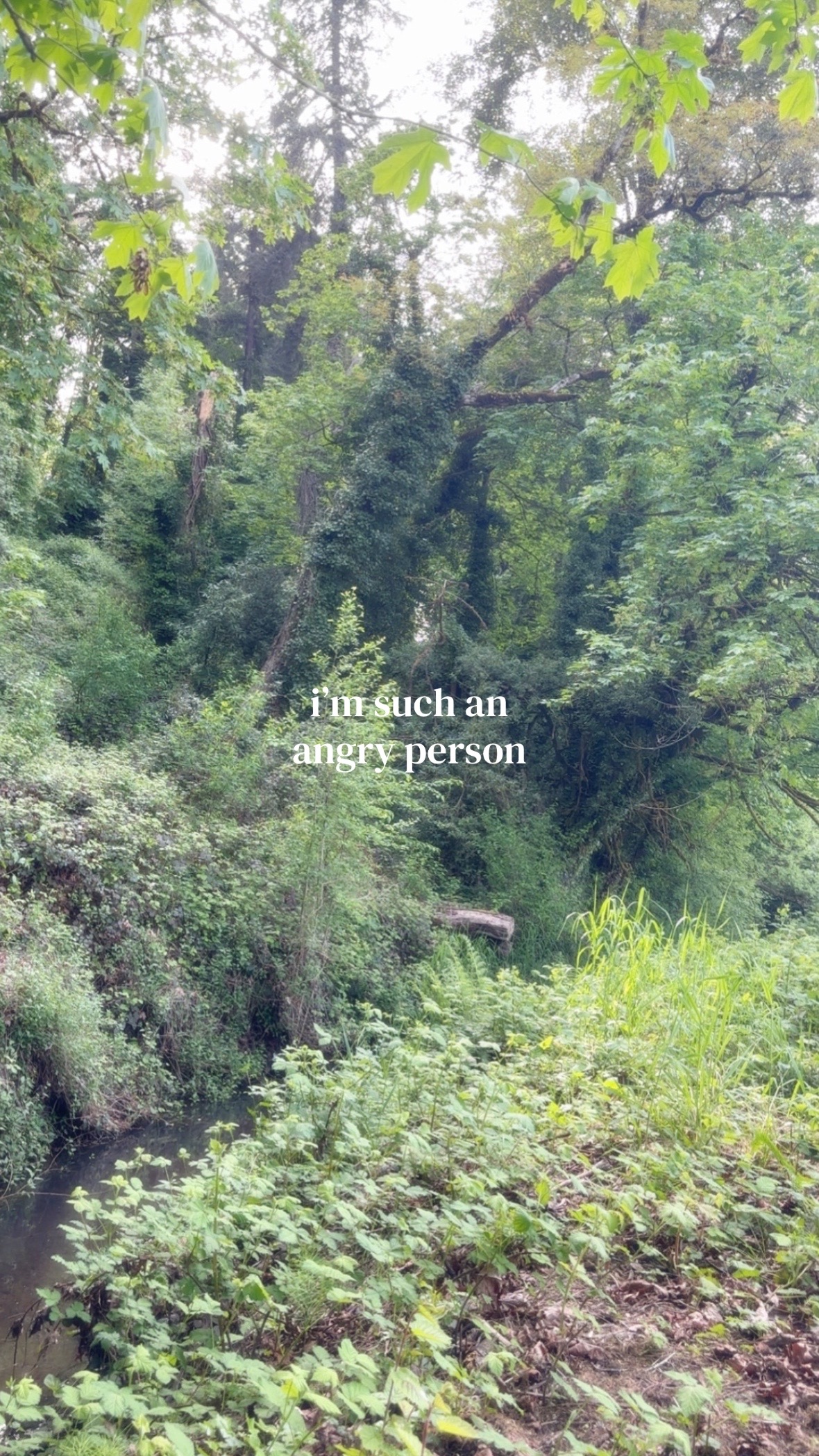 @👀