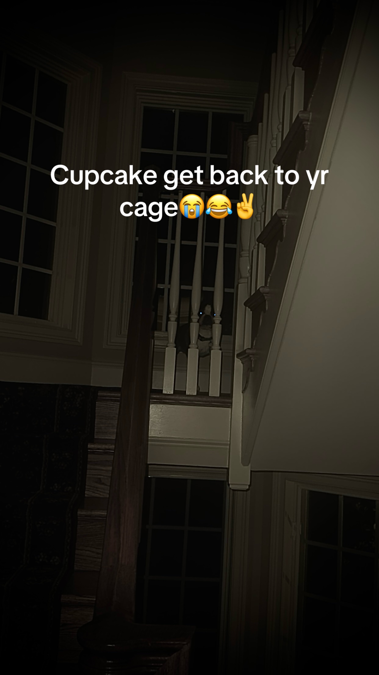 @Back seat bitch