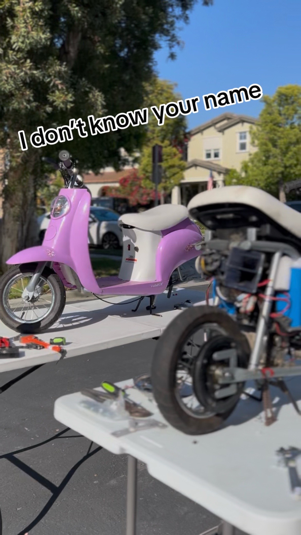 @da_purp_moped