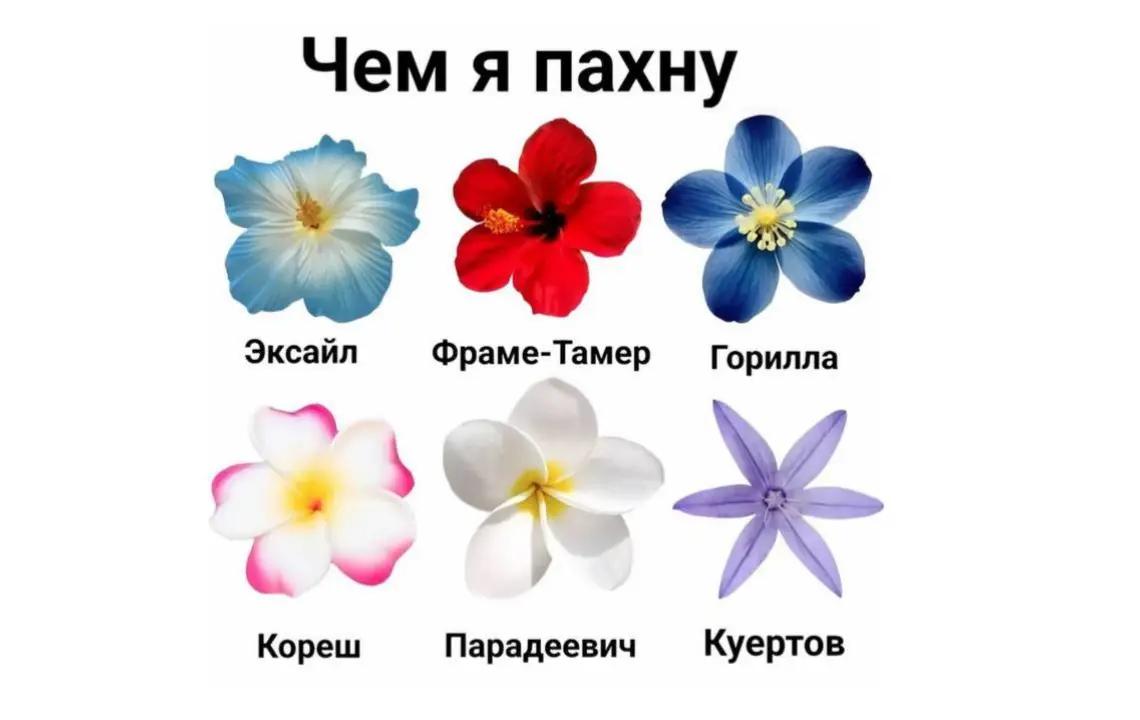 @xD@