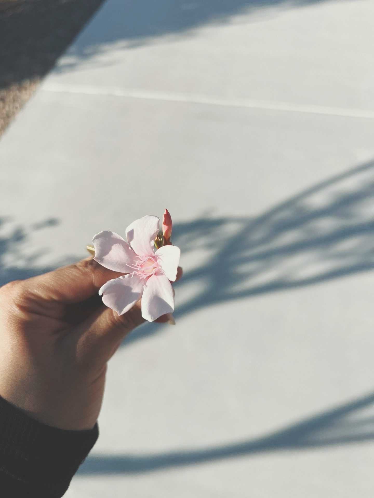 @ᵃᵇⁱᵏⁱⁿˢᶻ 𝗓 𐰁