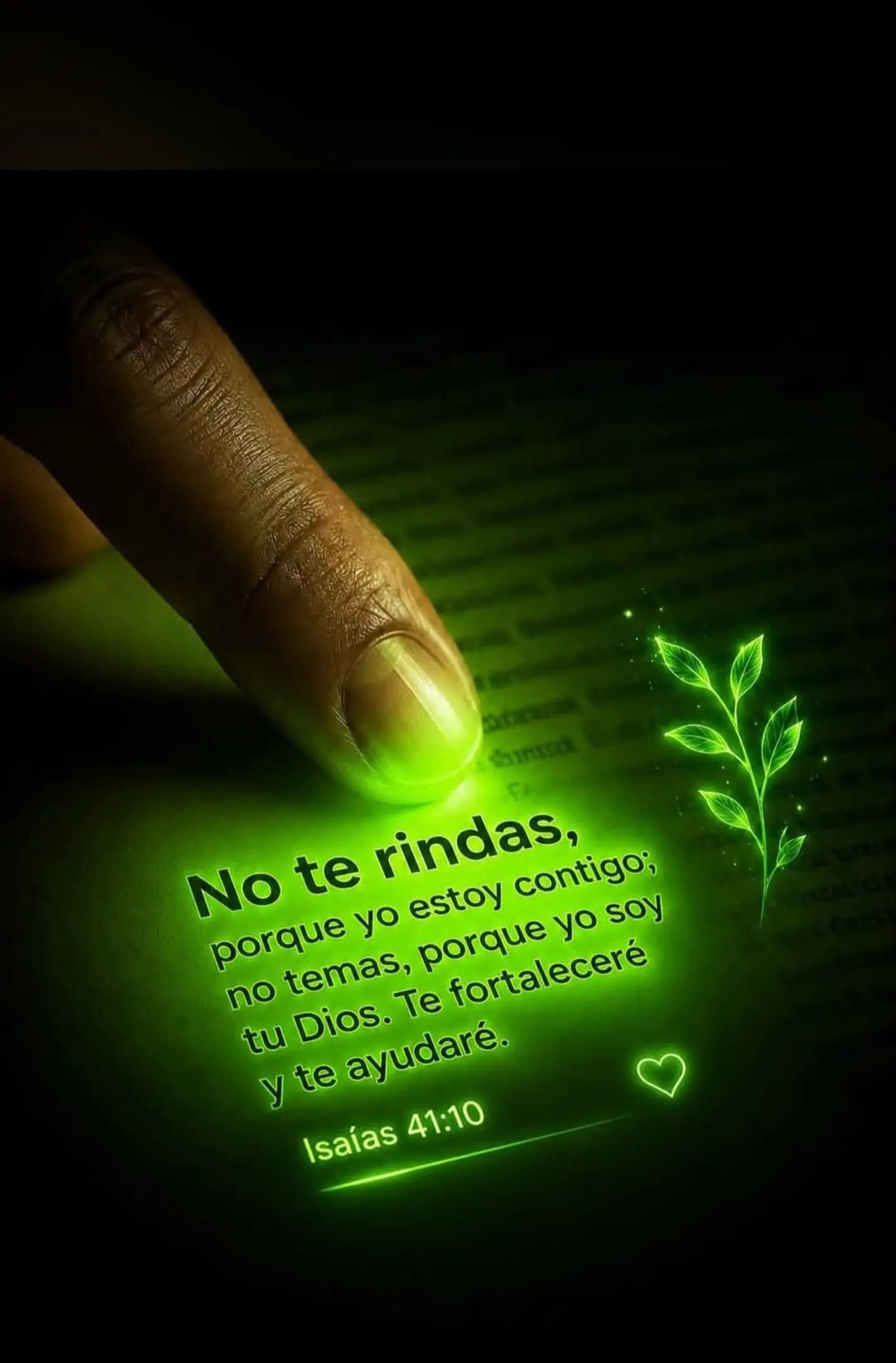@Sr_WiLsOn ☘️ 💫