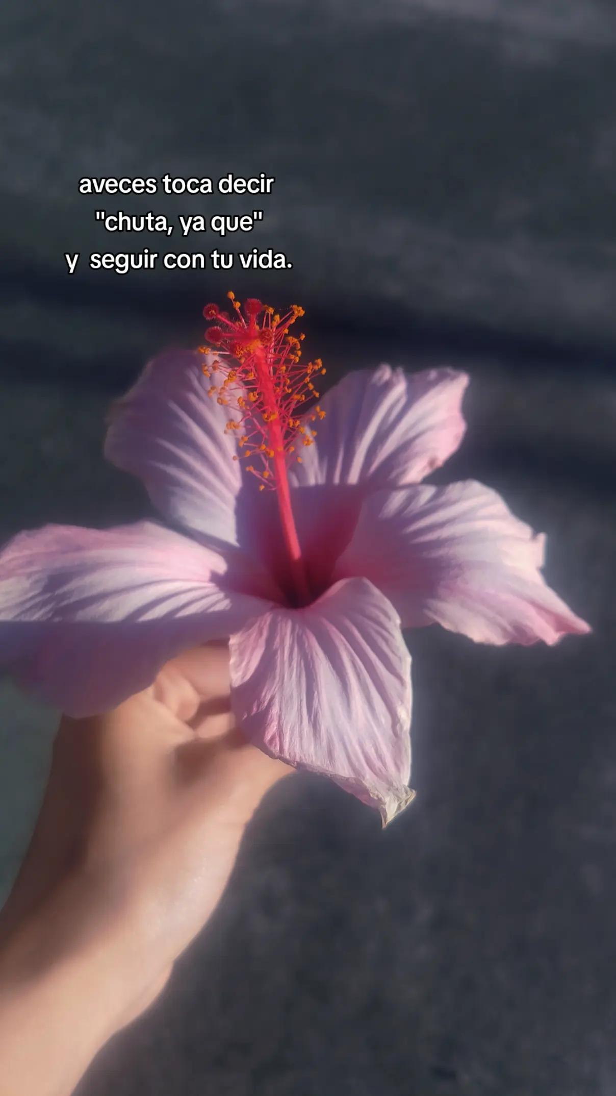 @•°️𝓜𝓪𝓭𝔂✮°🧸ྀི