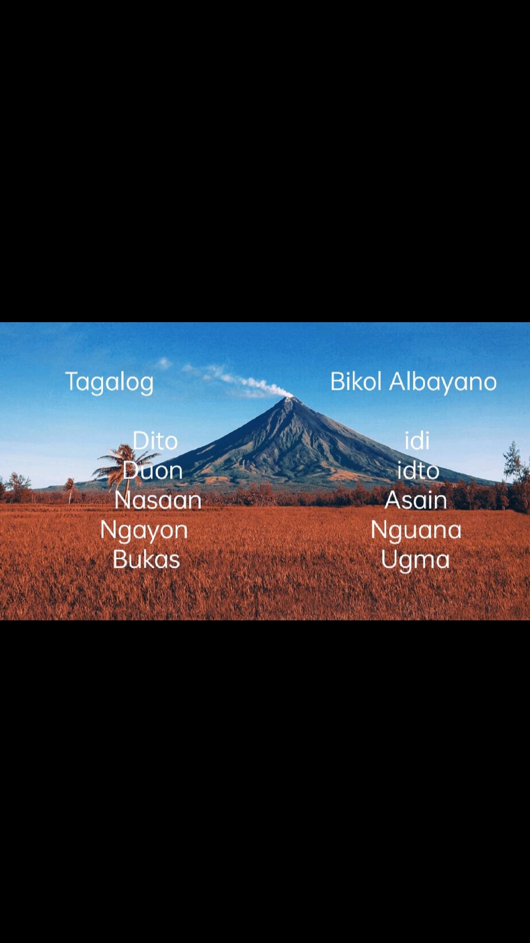 @Albayano