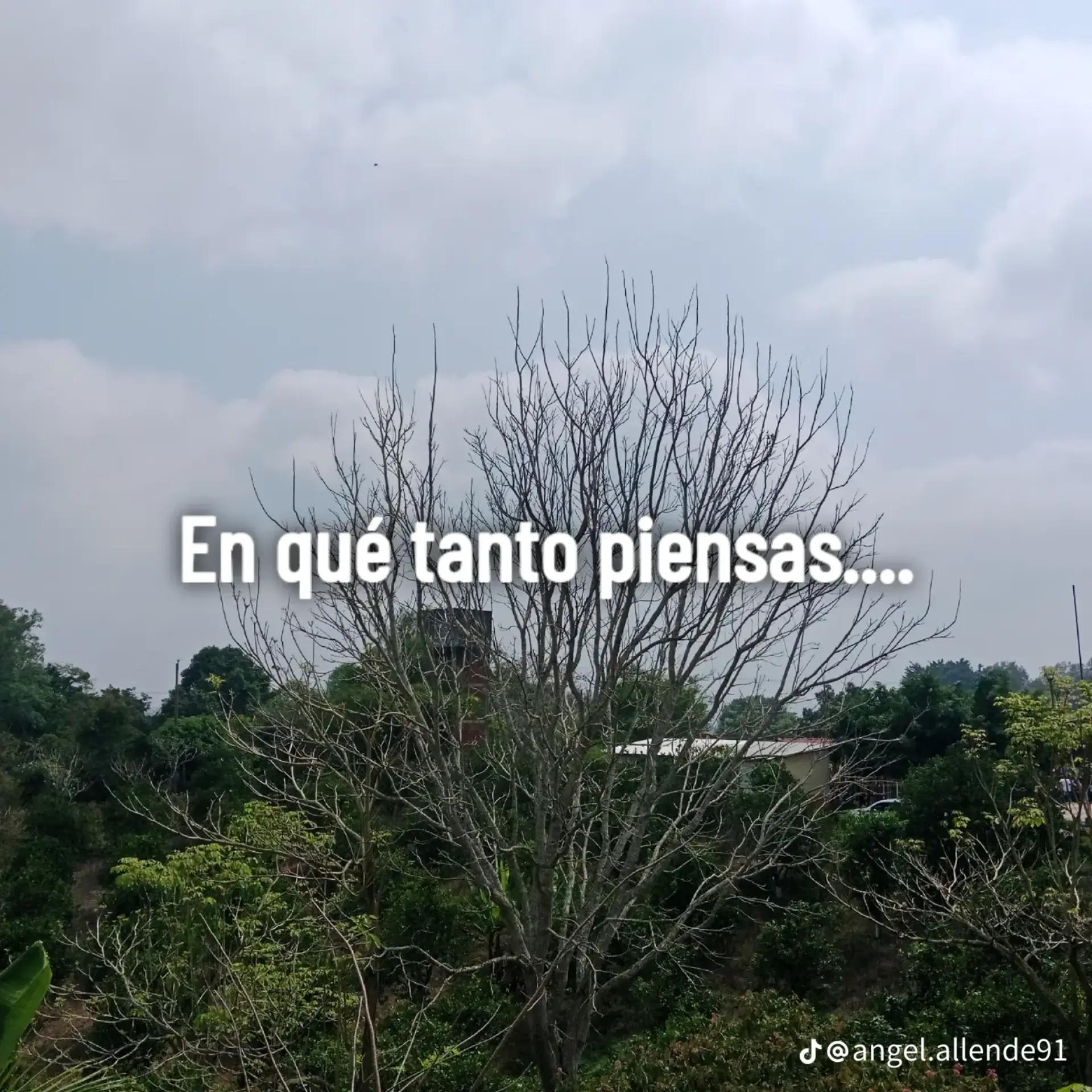 @El_doming