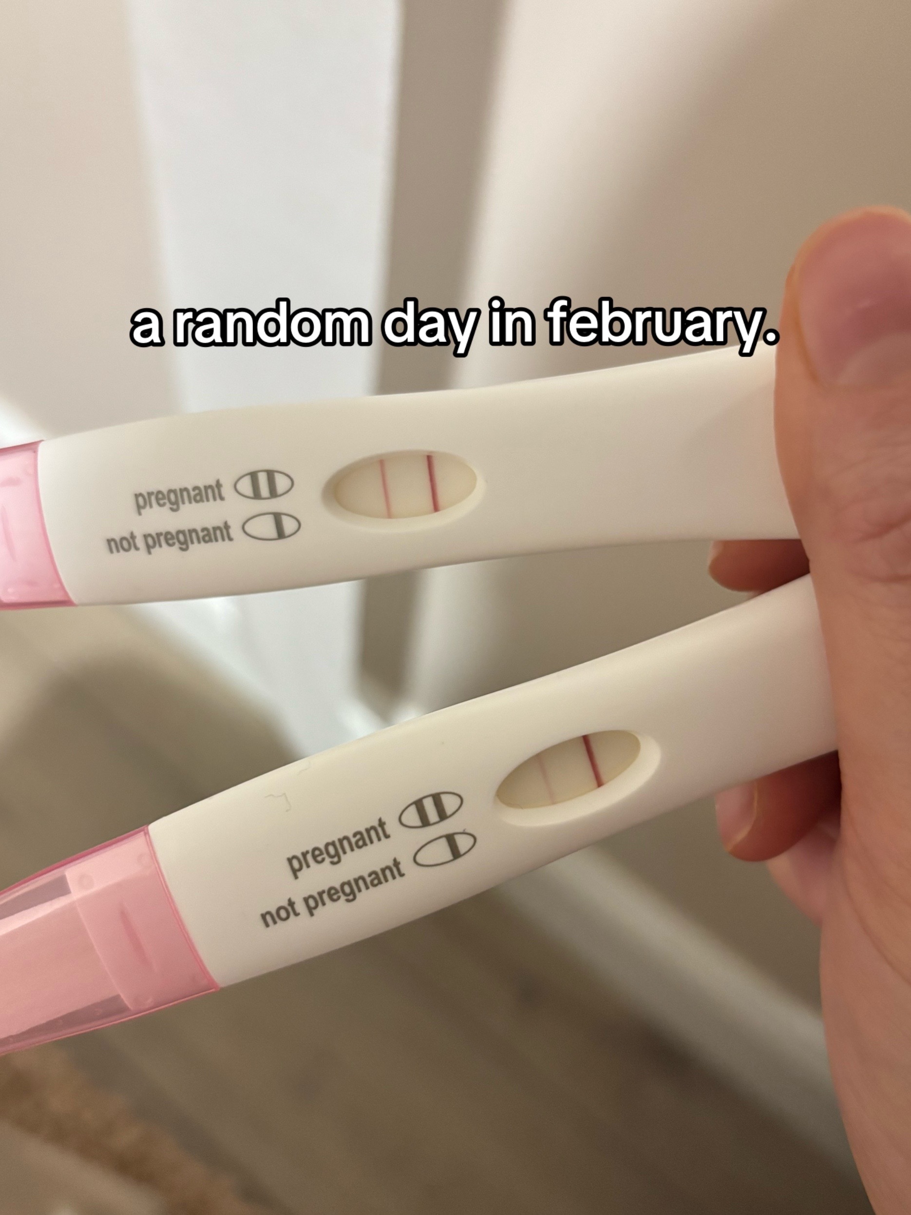 @arianna holm