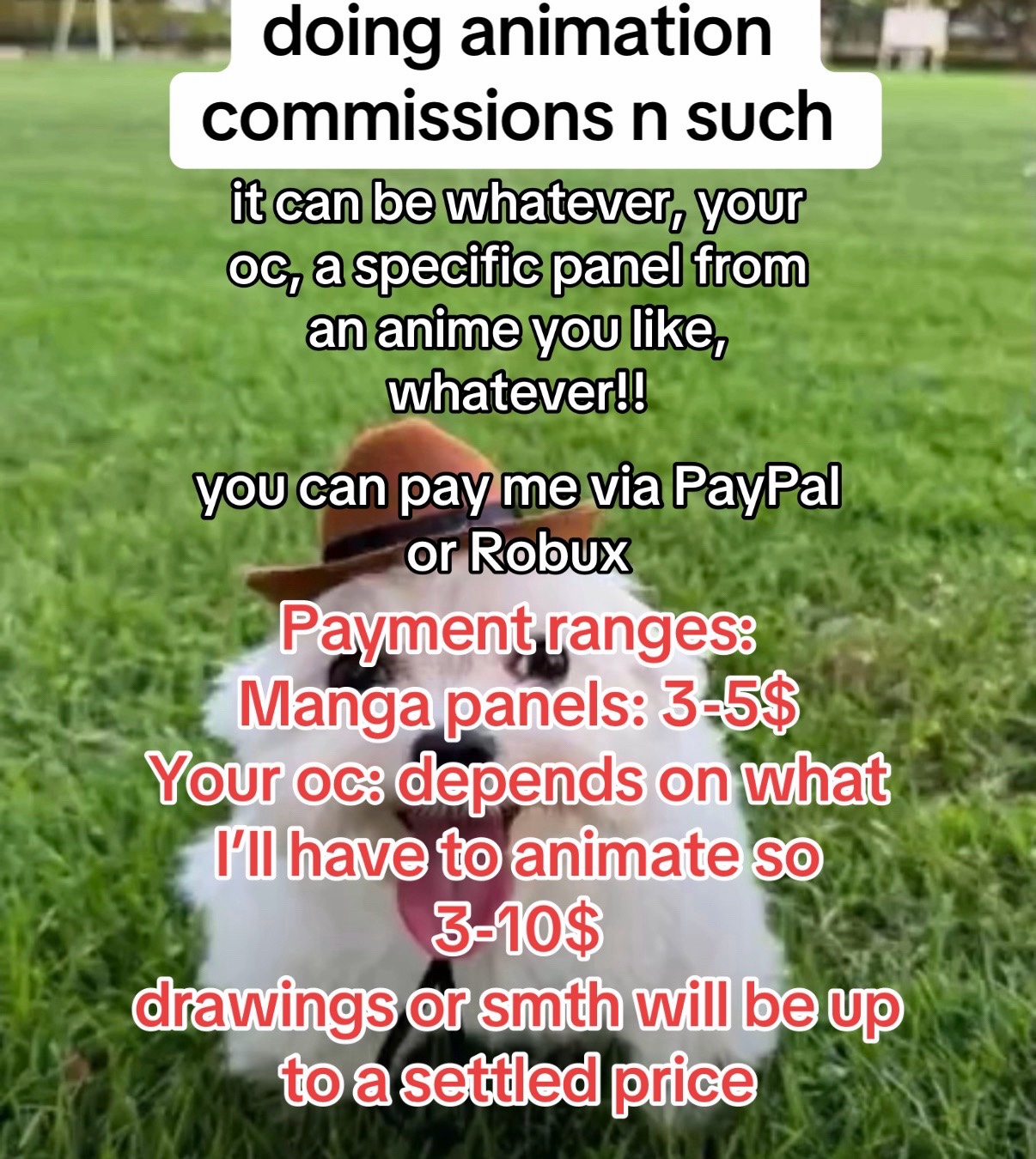 @DYNX