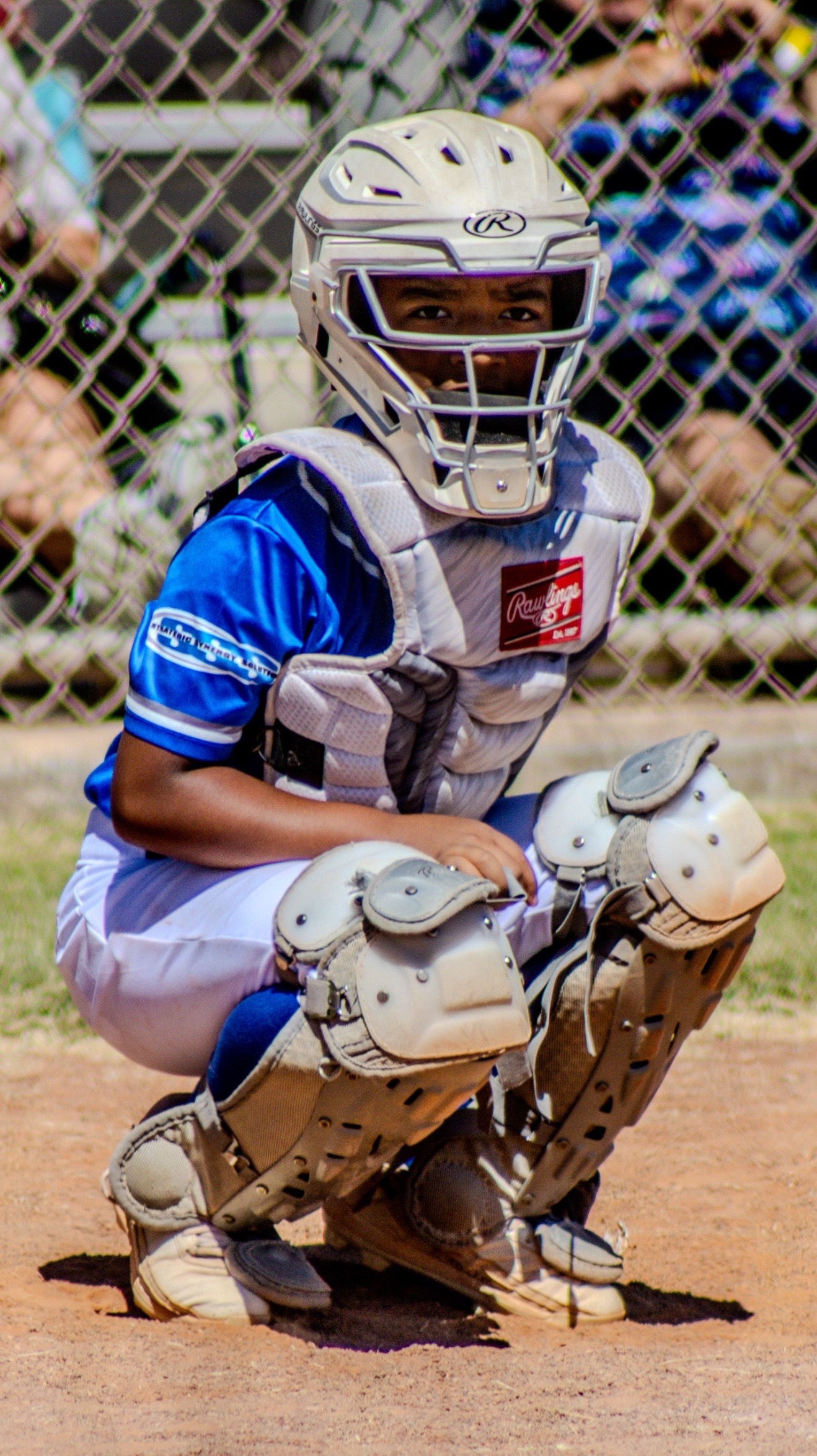@Baseball Dad 303