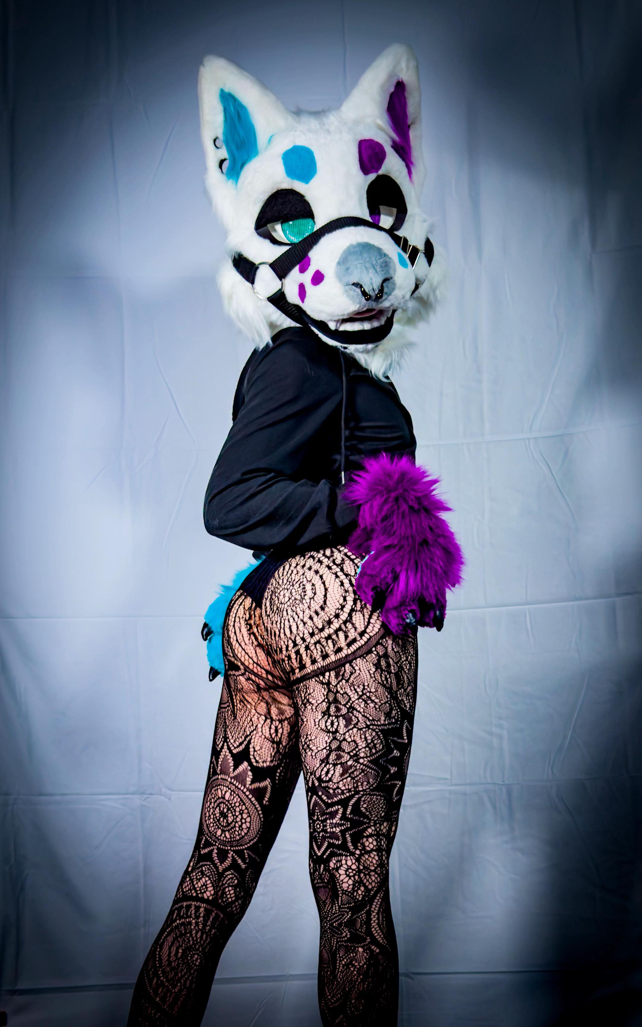 @✨Nekura the Fox✨