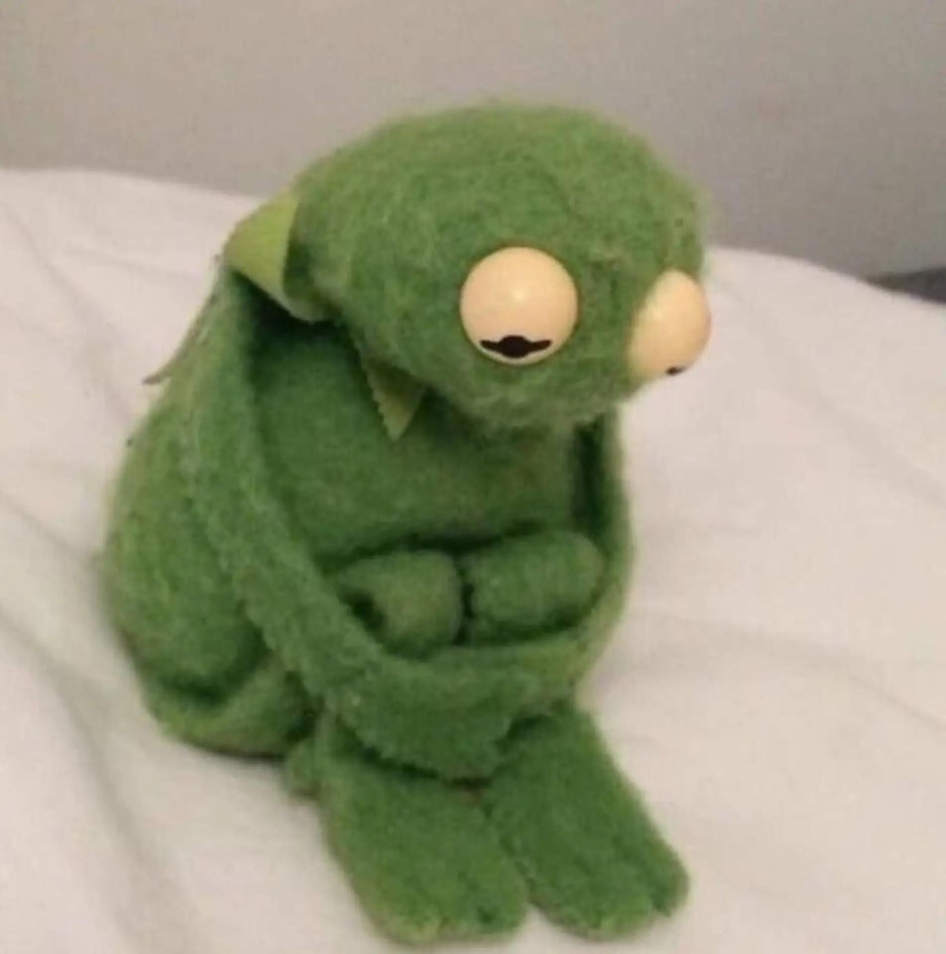@Kermit The Frog Tiktok