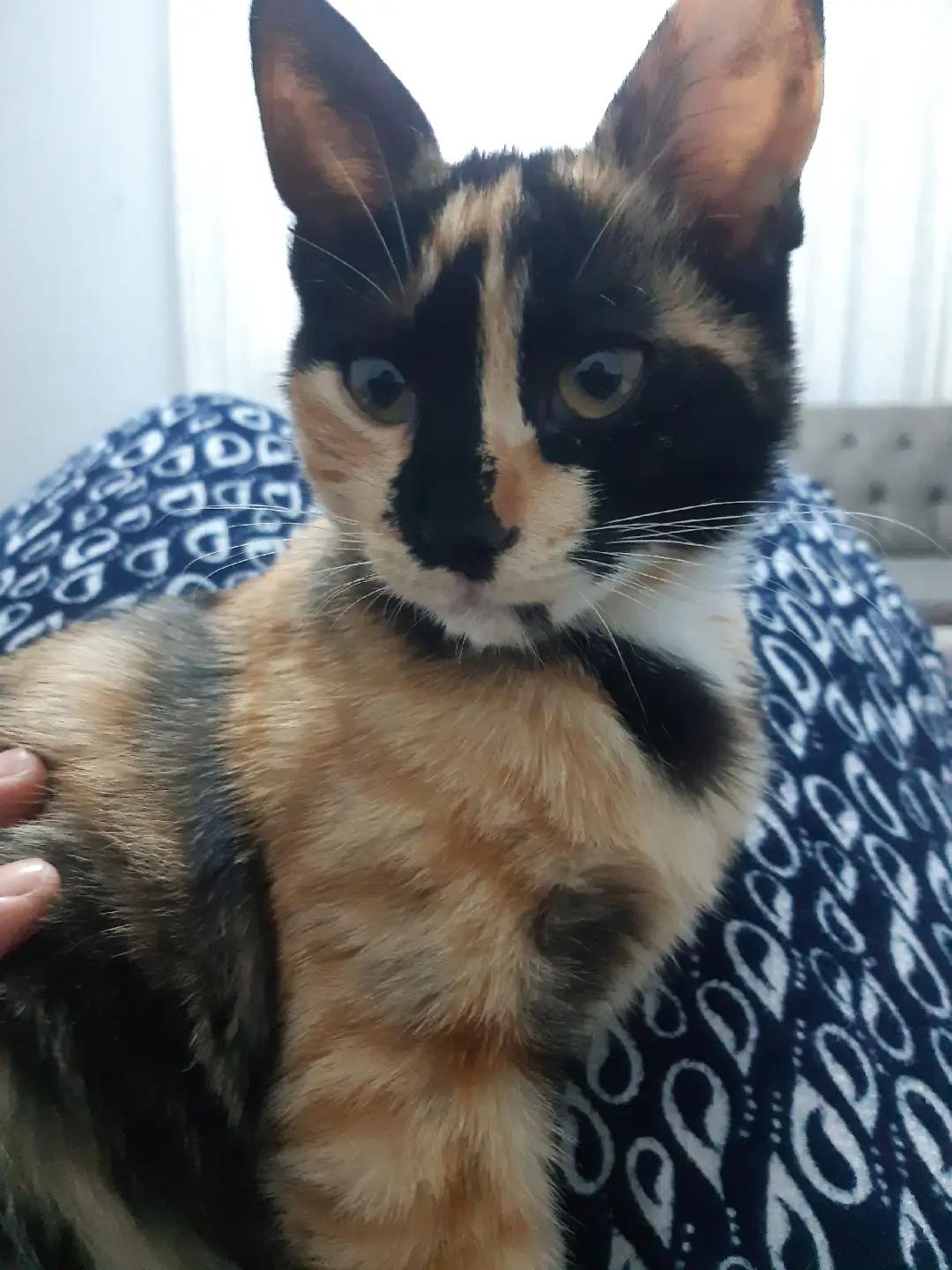 @Melek_uğur 01