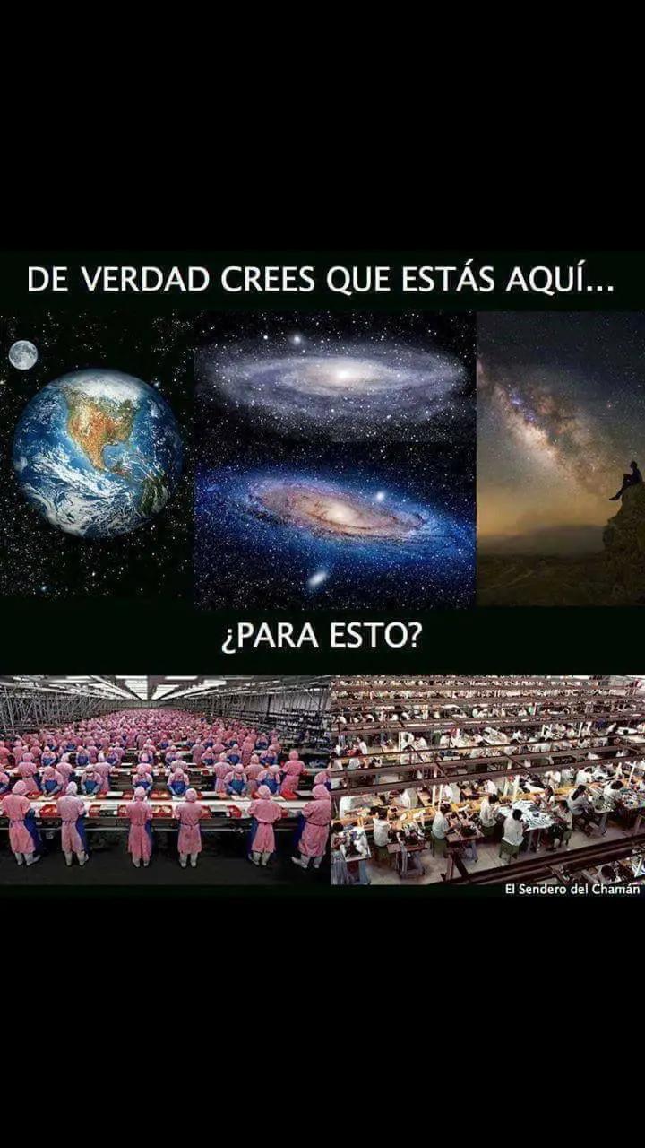 @despierta tu conciencia