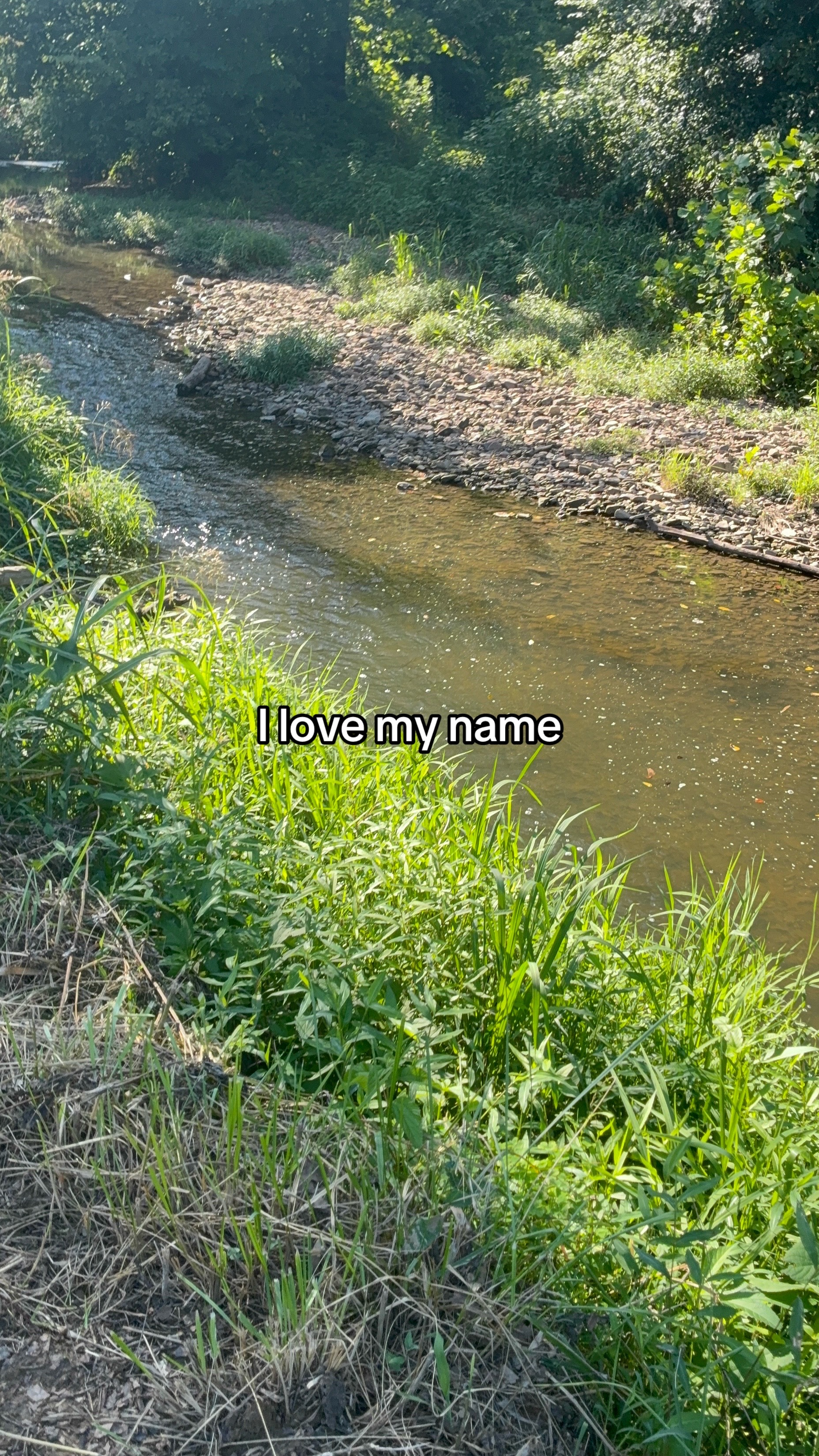 @🪷⊱ ۫ ׅ ✧𝐻𝒶𝒹𝓈⊱ ۫ ׅ ✧ 🪷