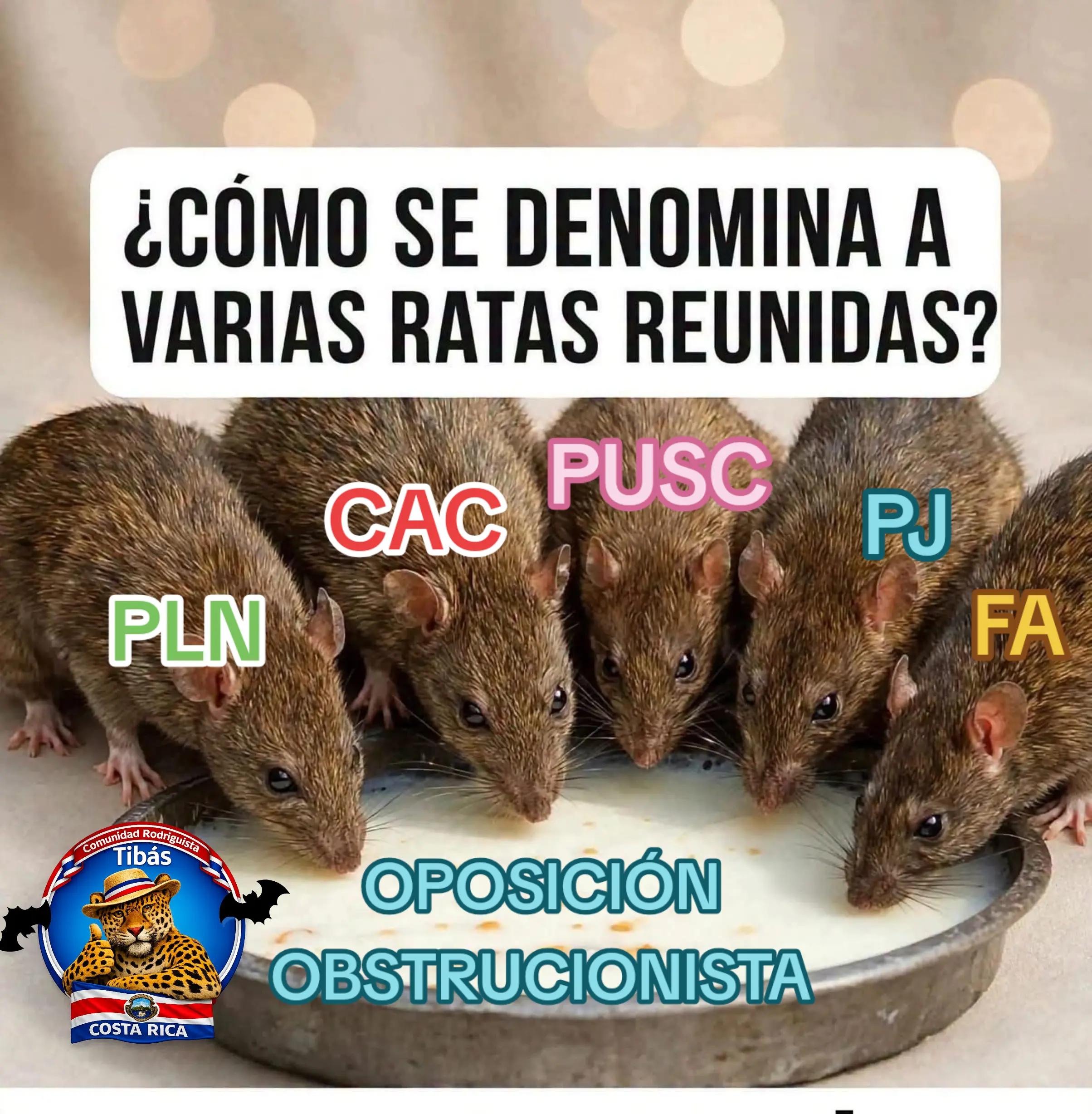 @Comunidad Rodriguista Tib&aacute;s