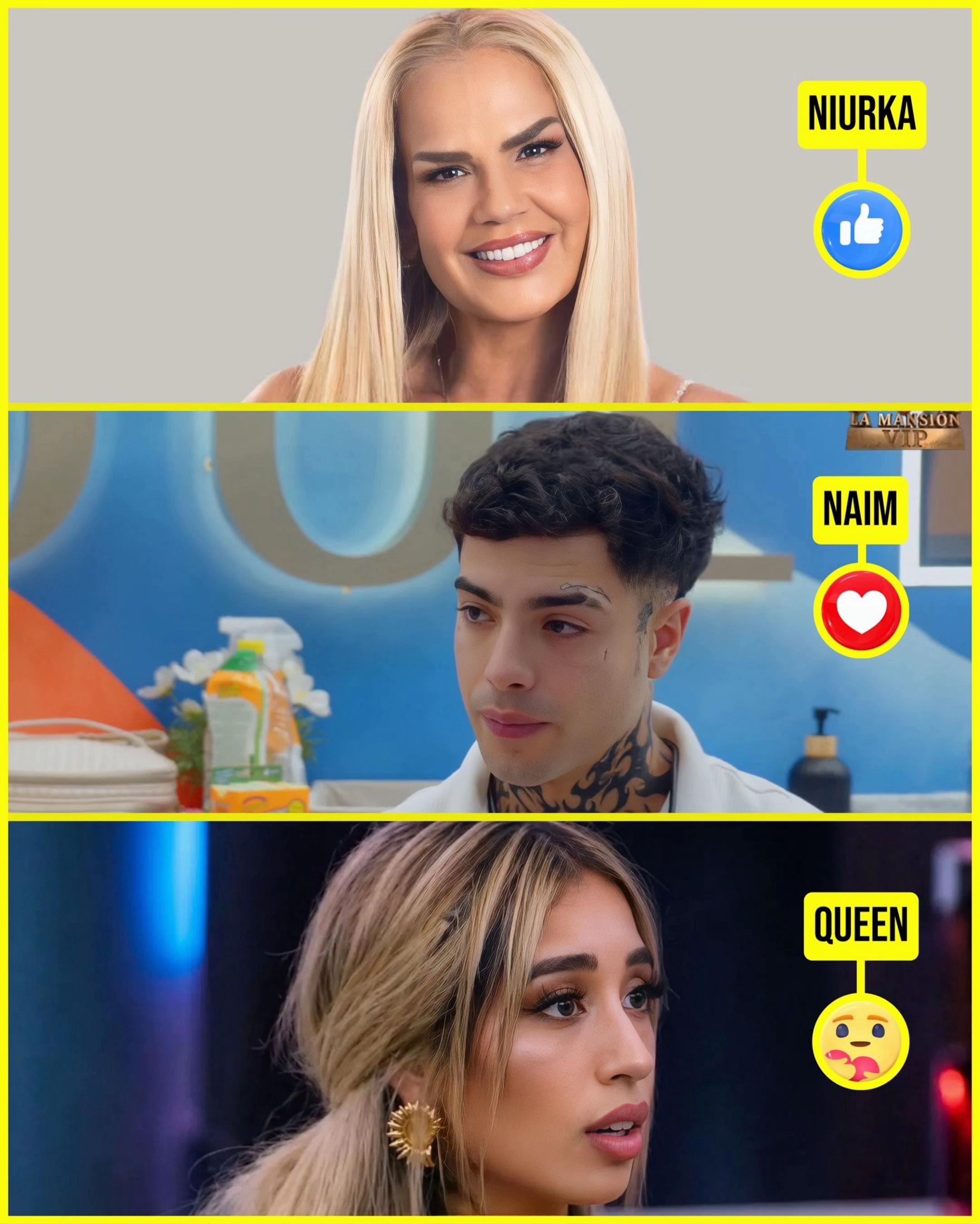 @yakoteinforma