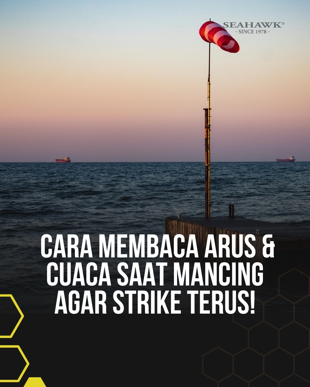 @Teamseahawkindonesia