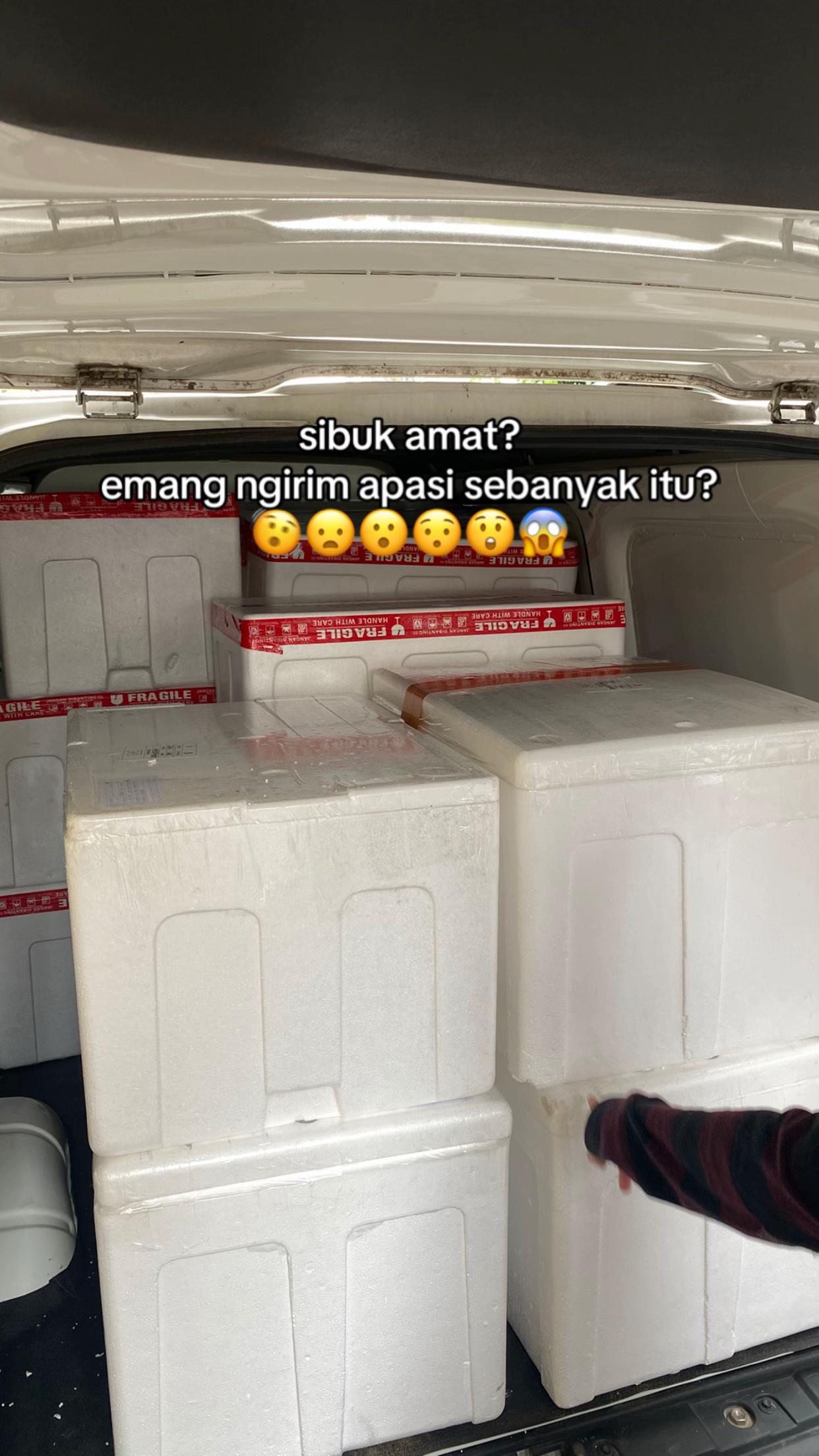 @misterpao