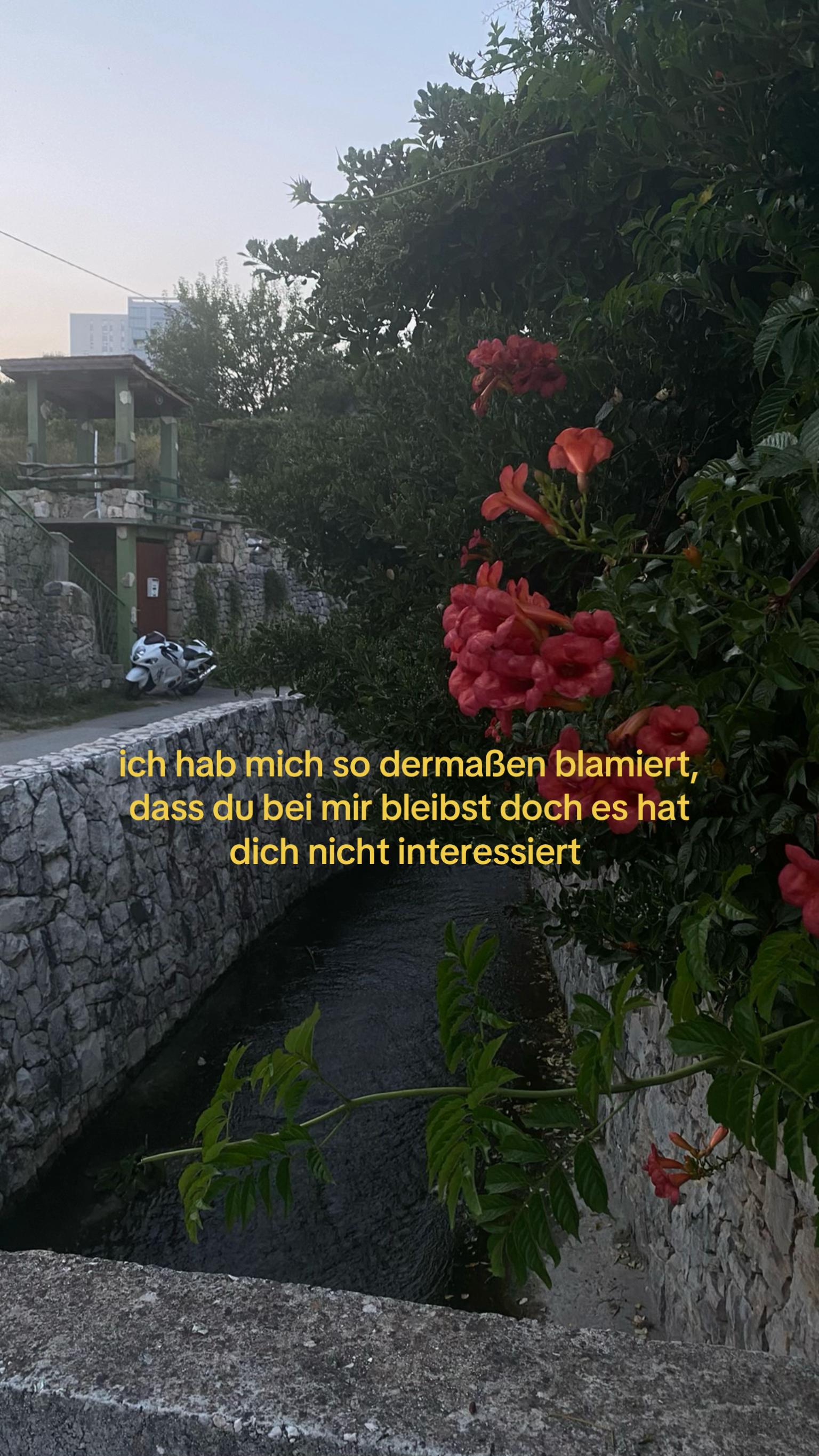 @viennaazitatee
