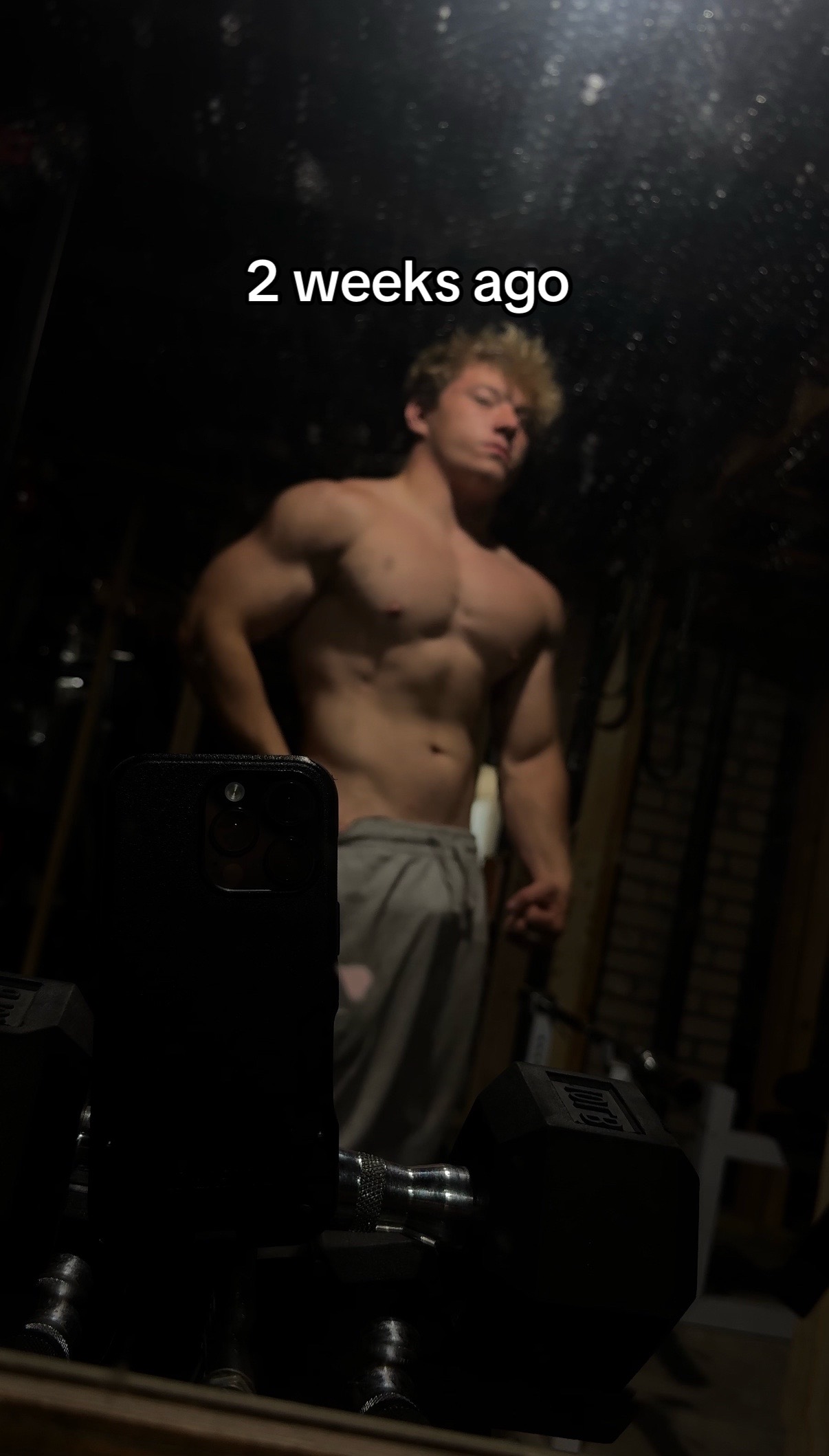 @Smallguygavin 🧬